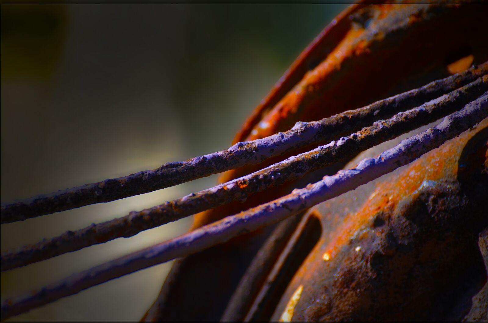 Nikon D7000 sample photo. Rust, rusty, beauty photography