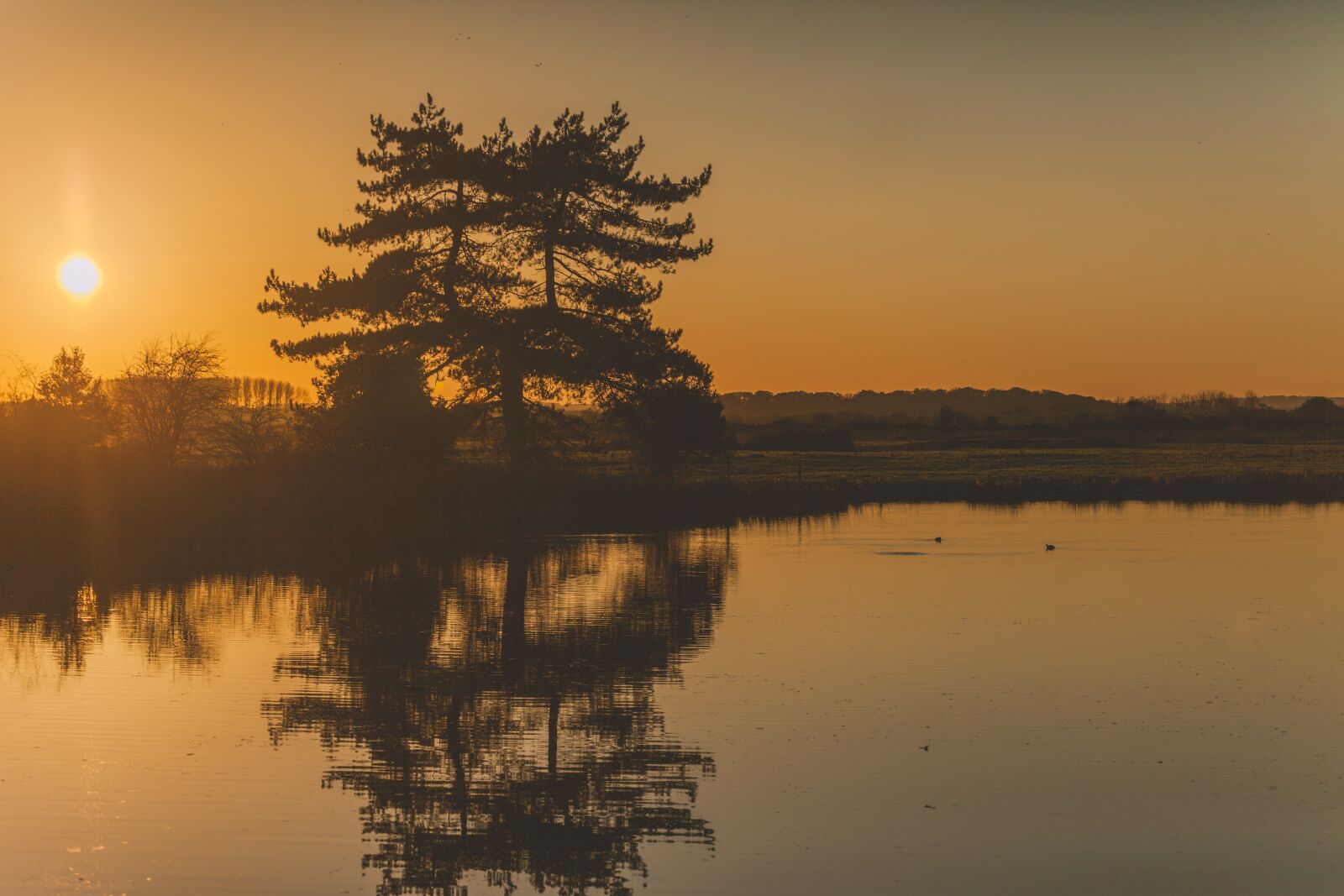 Canon EOS 5D Mark II sample photo. Sunset, nature, orange photography