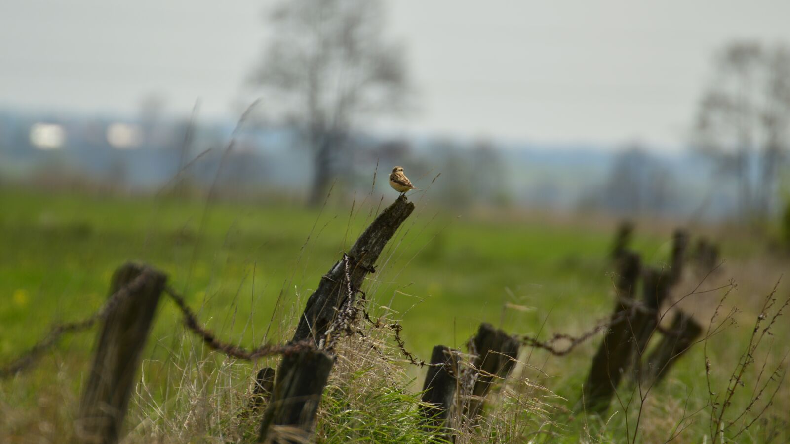 Nikon D3200 sample photo. View, landscape photography