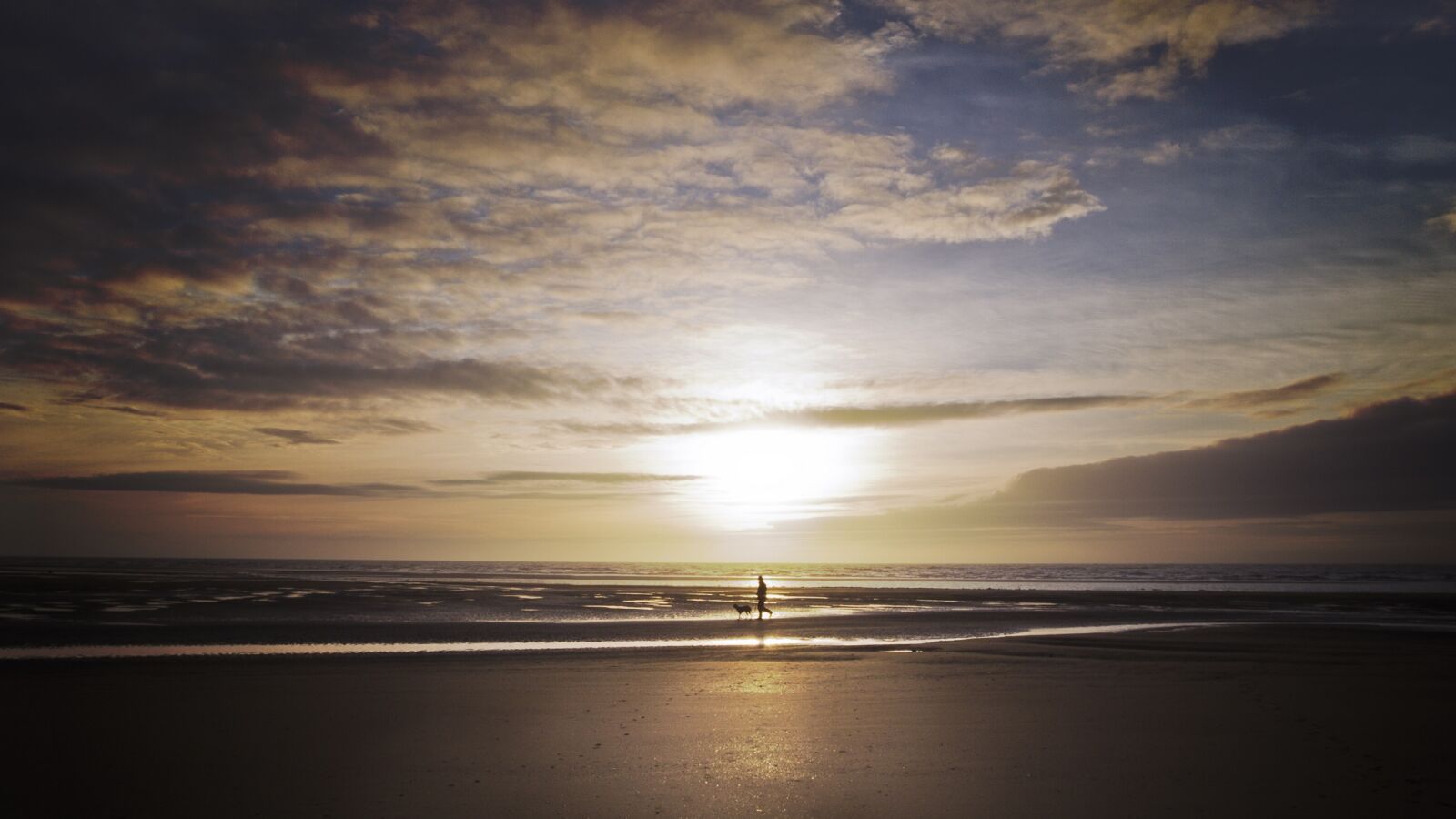 Canon EOS 7D + Canon EF-S 10-22mm F3.5-4.5 USM sample photo. Beach, sunset, dog photography