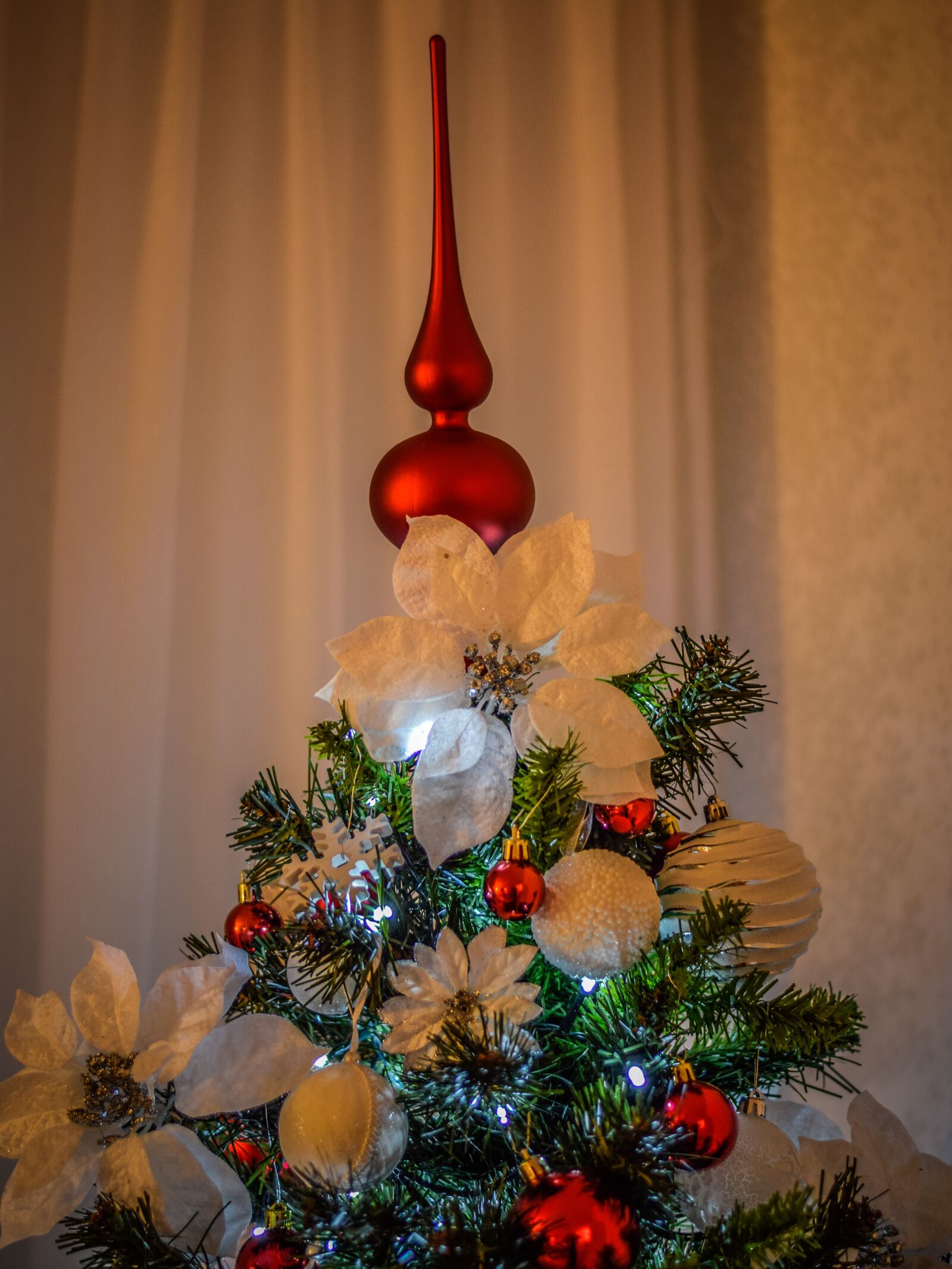 Nikon D5300 sample photo. Christmas, tree, red photography