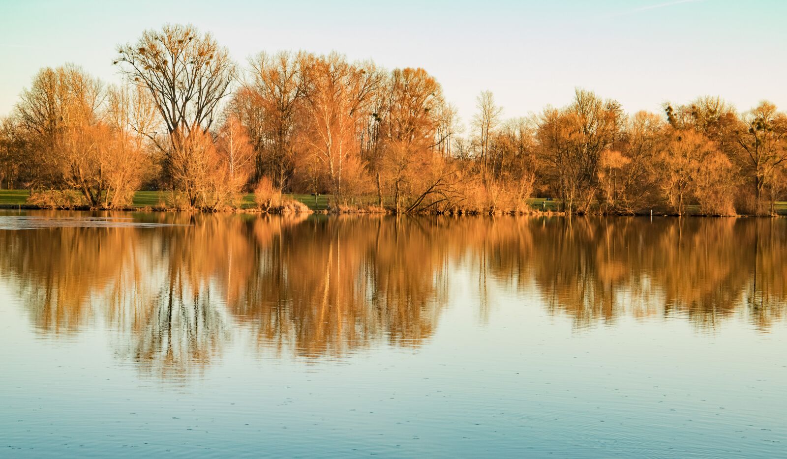 Canon EOS 6D Mark II sample photo. Nature, trees, landscape photography