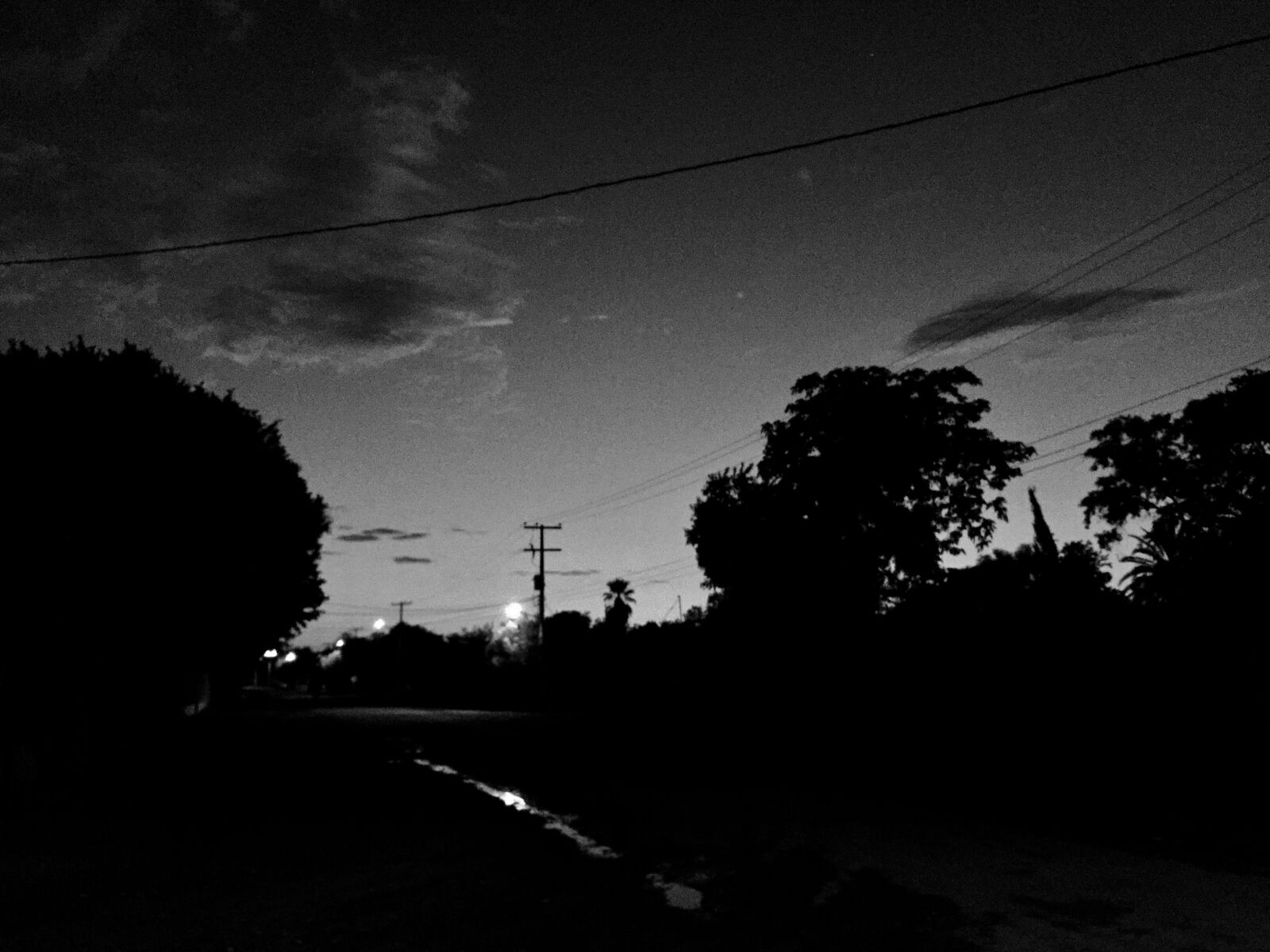 Apple iPhone 6 Plus sample photo. Night, trees, sonora photography