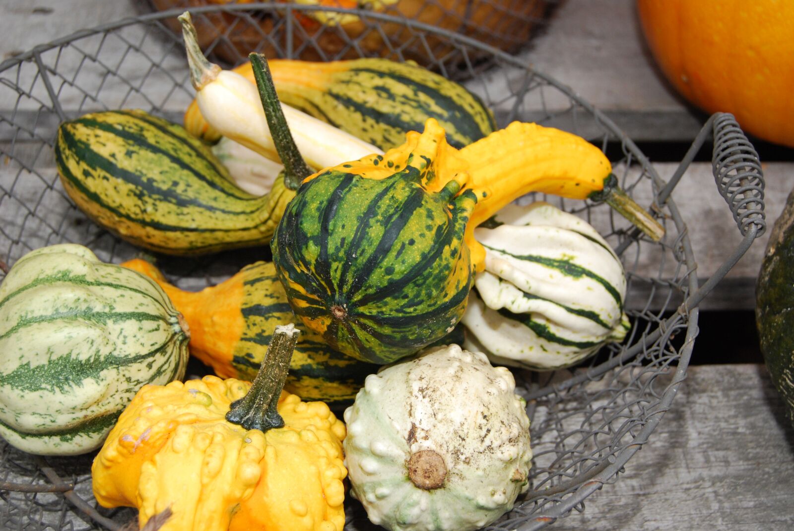 Nikon D80 sample photo. Pumpkins, halloween, garden ornament photography