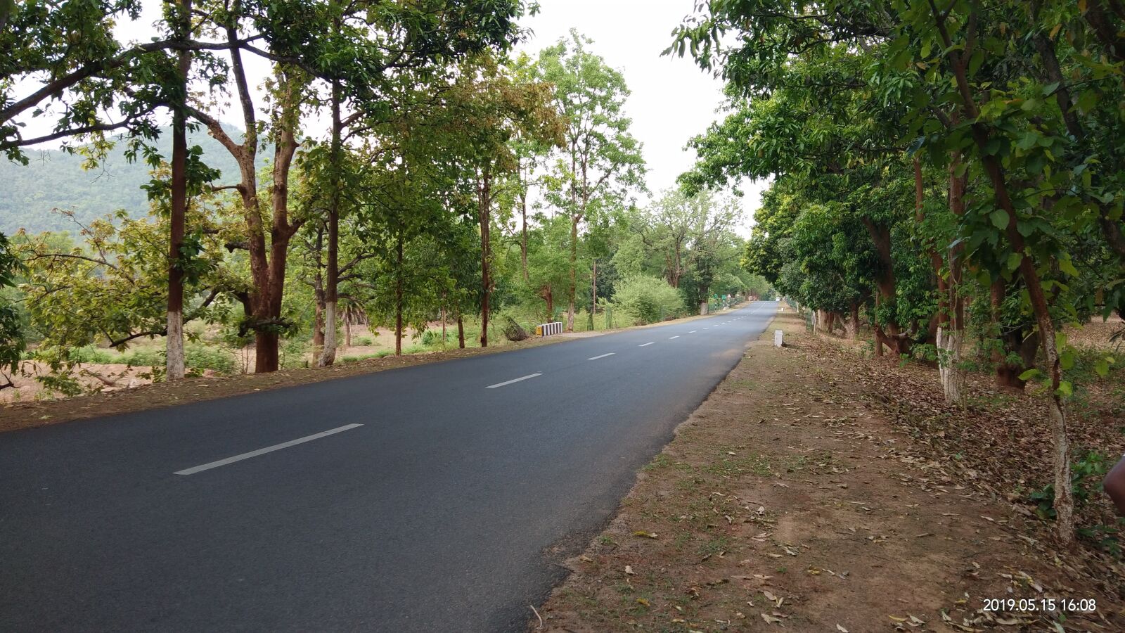 vivo V9 6GB sample photo. Road, beautiful road, nature photography