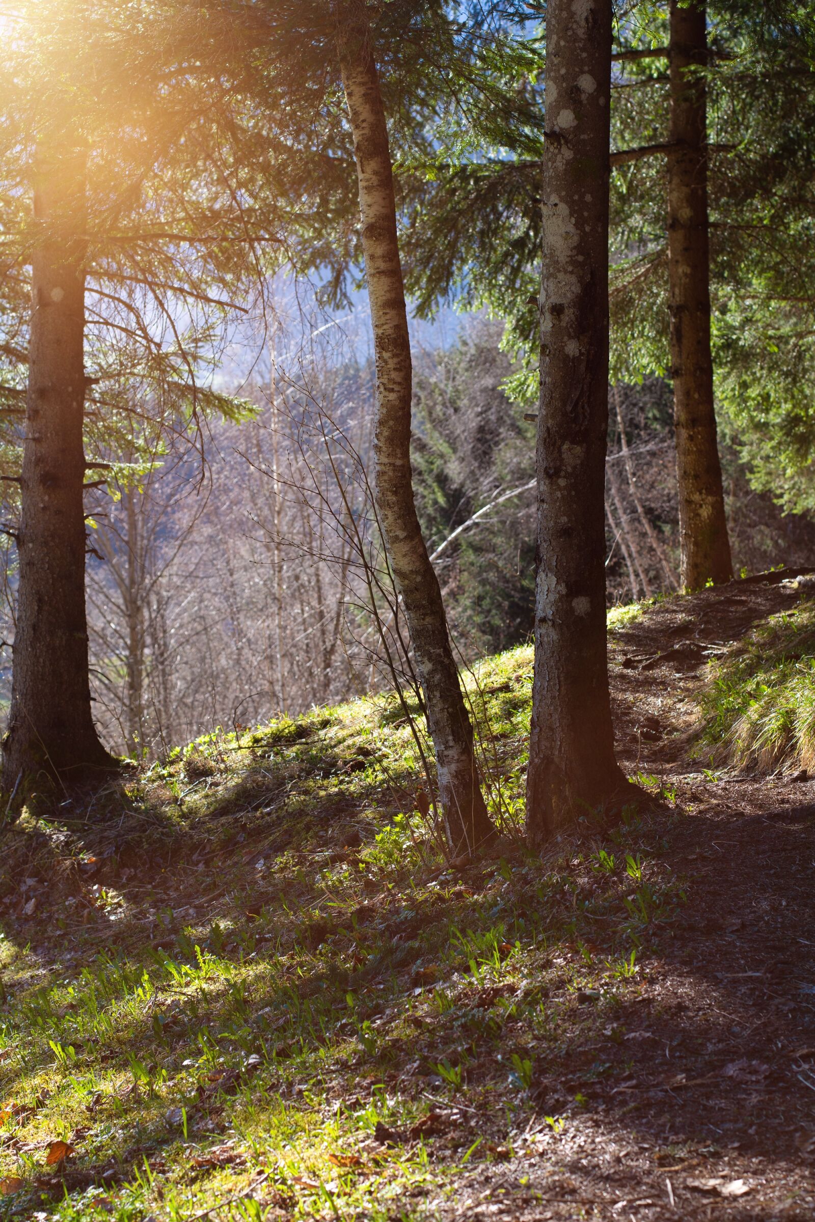 Nikon D7100 sample photo. Landscape, nature, away photography