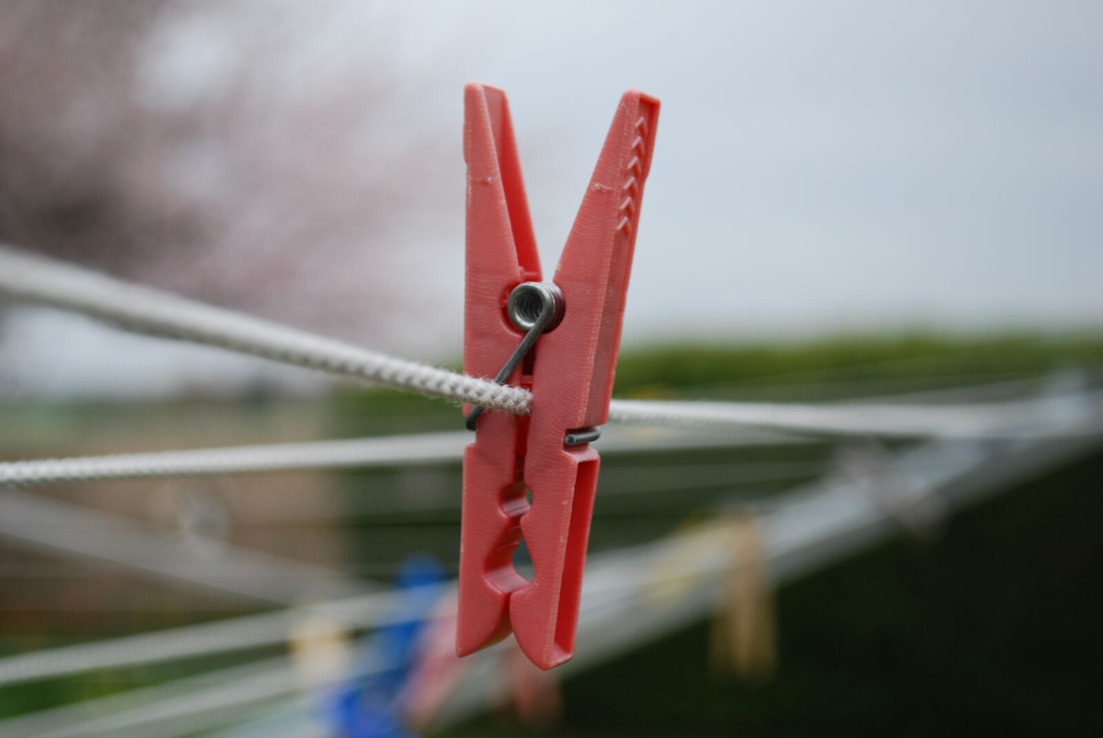 Nikon D60 sample photo. Dew, clothes peg, clothes photography
