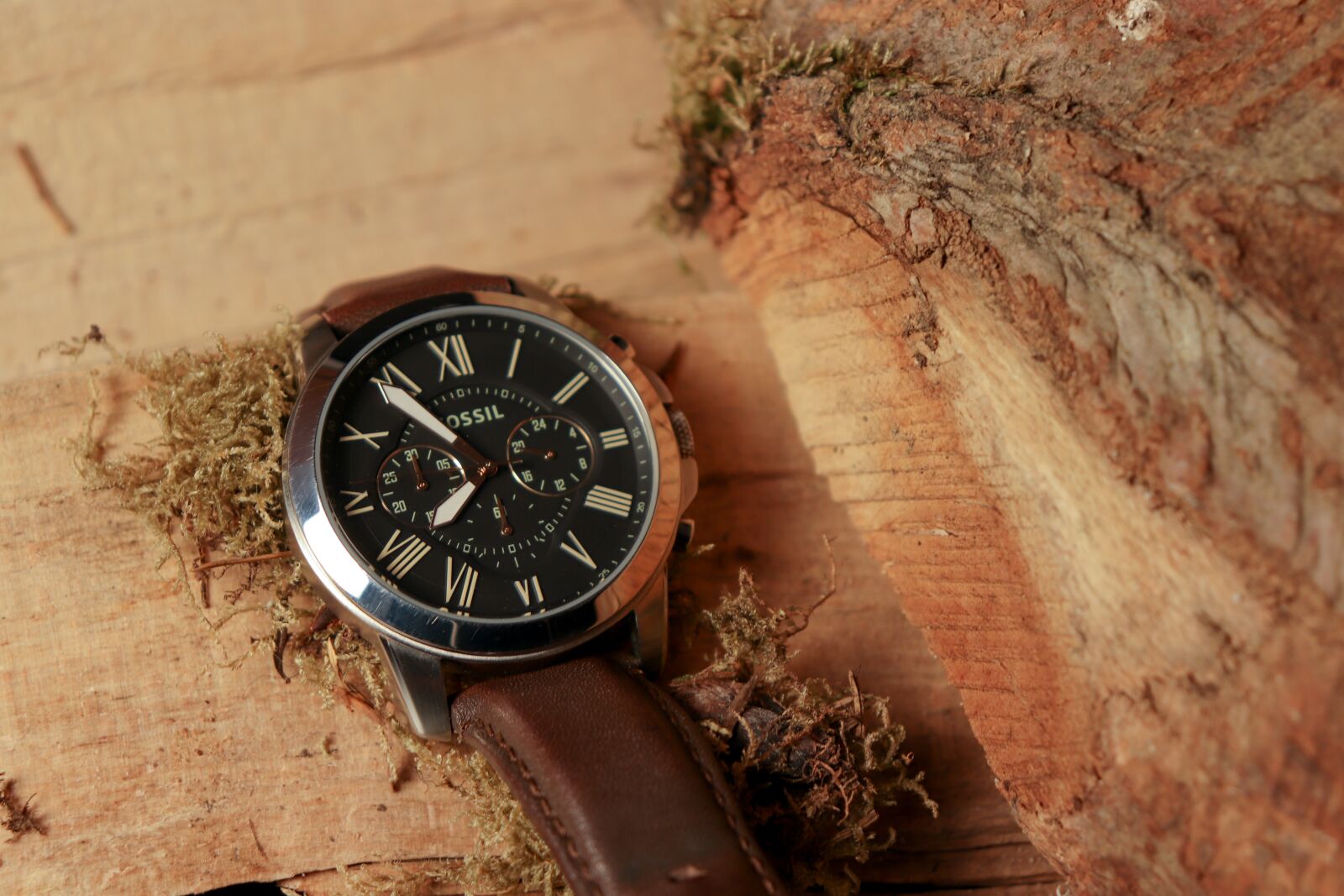 Canon EOS 800D (EOS Rebel T7i / EOS Kiss X9i) sample photo. Clock, watch, fossil photography