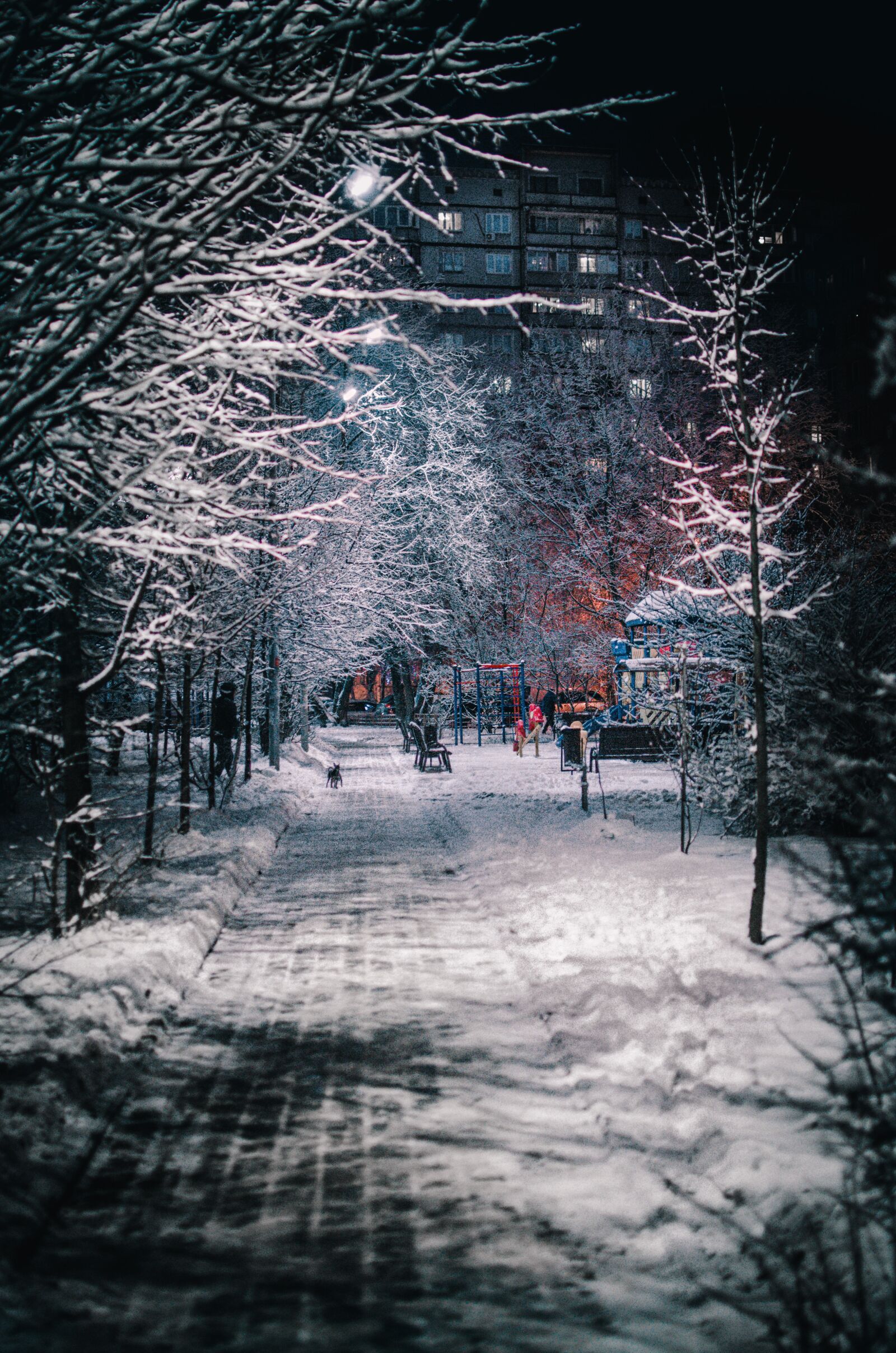 Nikon D7000 sample photo. ночь, город, city photography