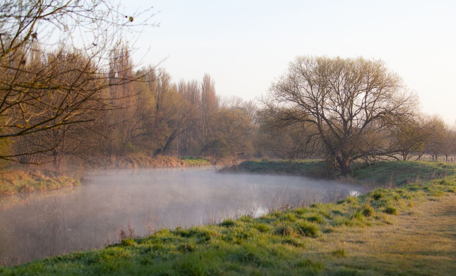 Canon EOS 5D Mark II sample photo. Misty, mist, fog photography