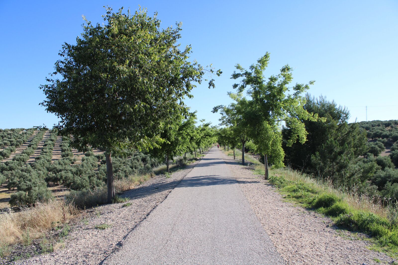 Canon EOS 2000D (EOS Rebel T7 / EOS Kiss X90 / EOS 1500D) sample photo. Andalusia, spain, sky photography