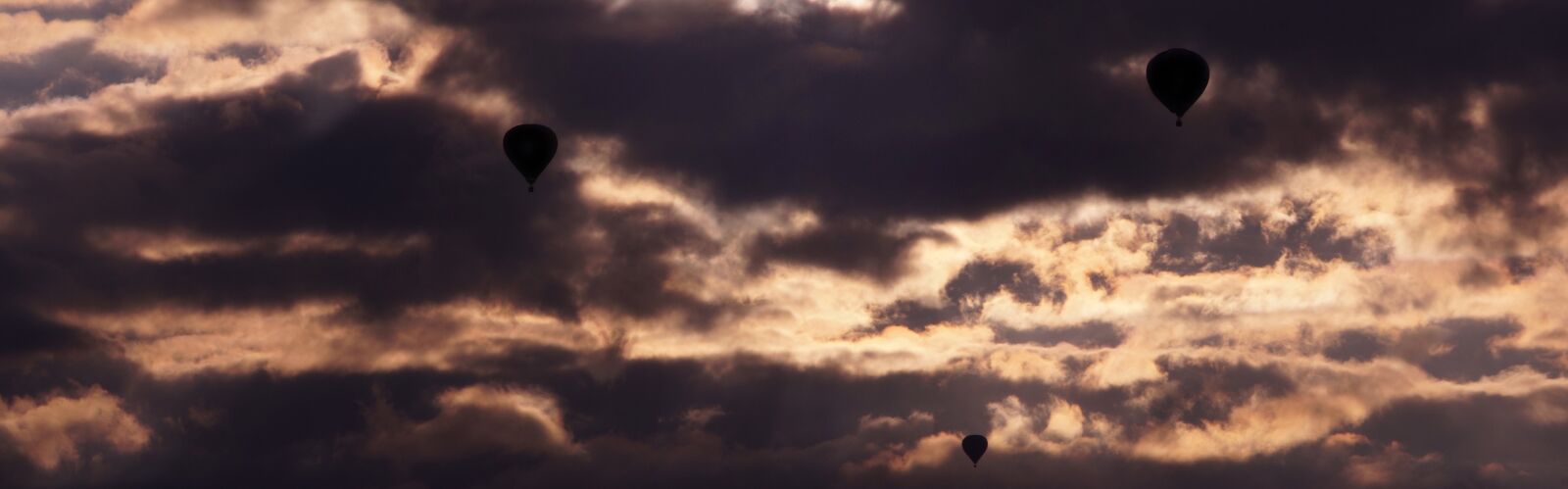 Sony SLT-A57 sample photo. Hot air balloon, aviation photography