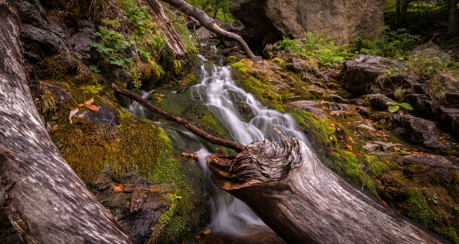Tokina AT-X Pro 11-16mm F2.8 DX II sample photo. Creek, landscape, logs photography