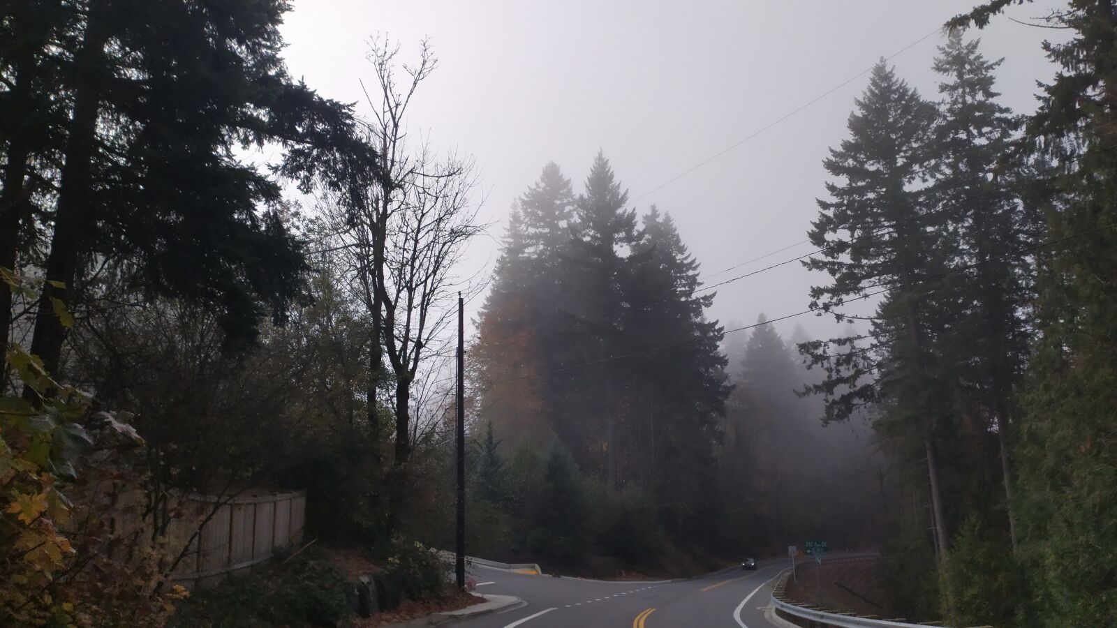 Xiaomi Redmi Note 7 sample photo. Woods, fog, scary photography