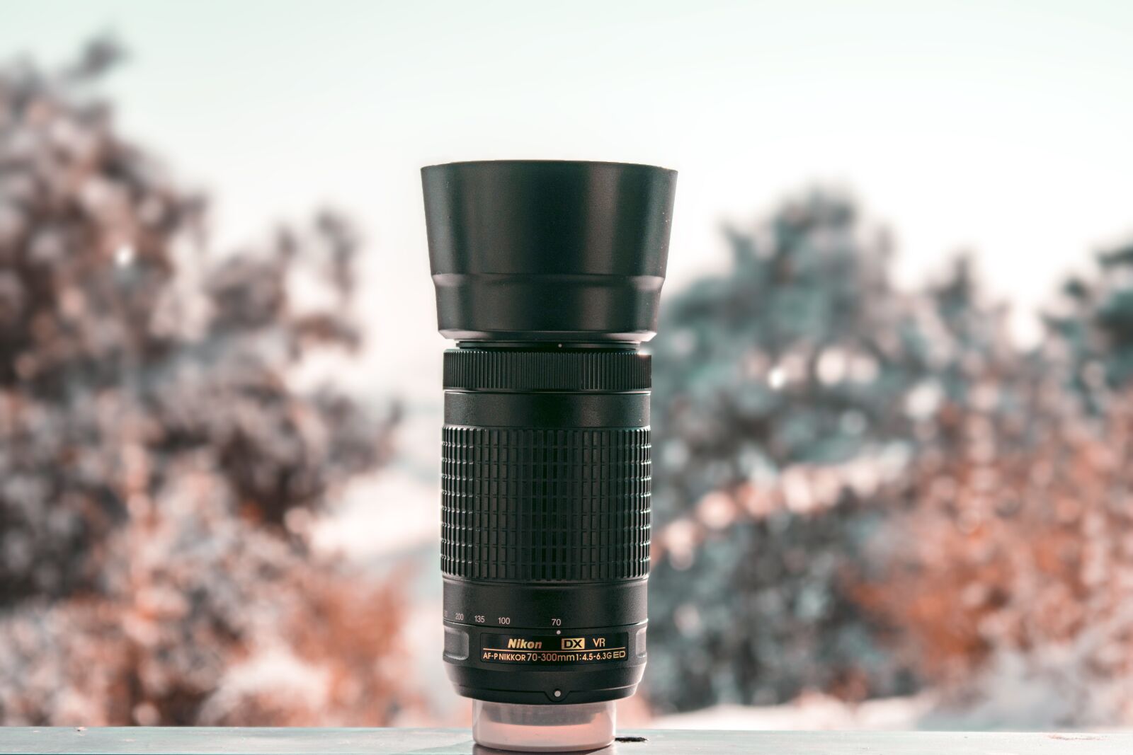 Nikon D3300 sample photo. Lens, camera, photography photography