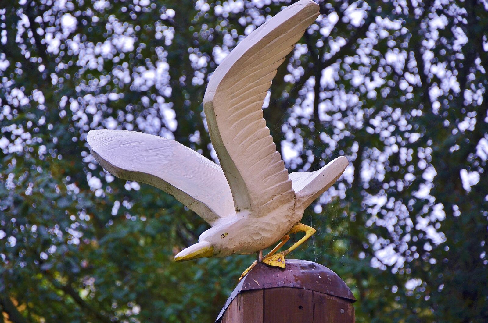 Nikon D7000 sample photo. Bird, trees, wild photography