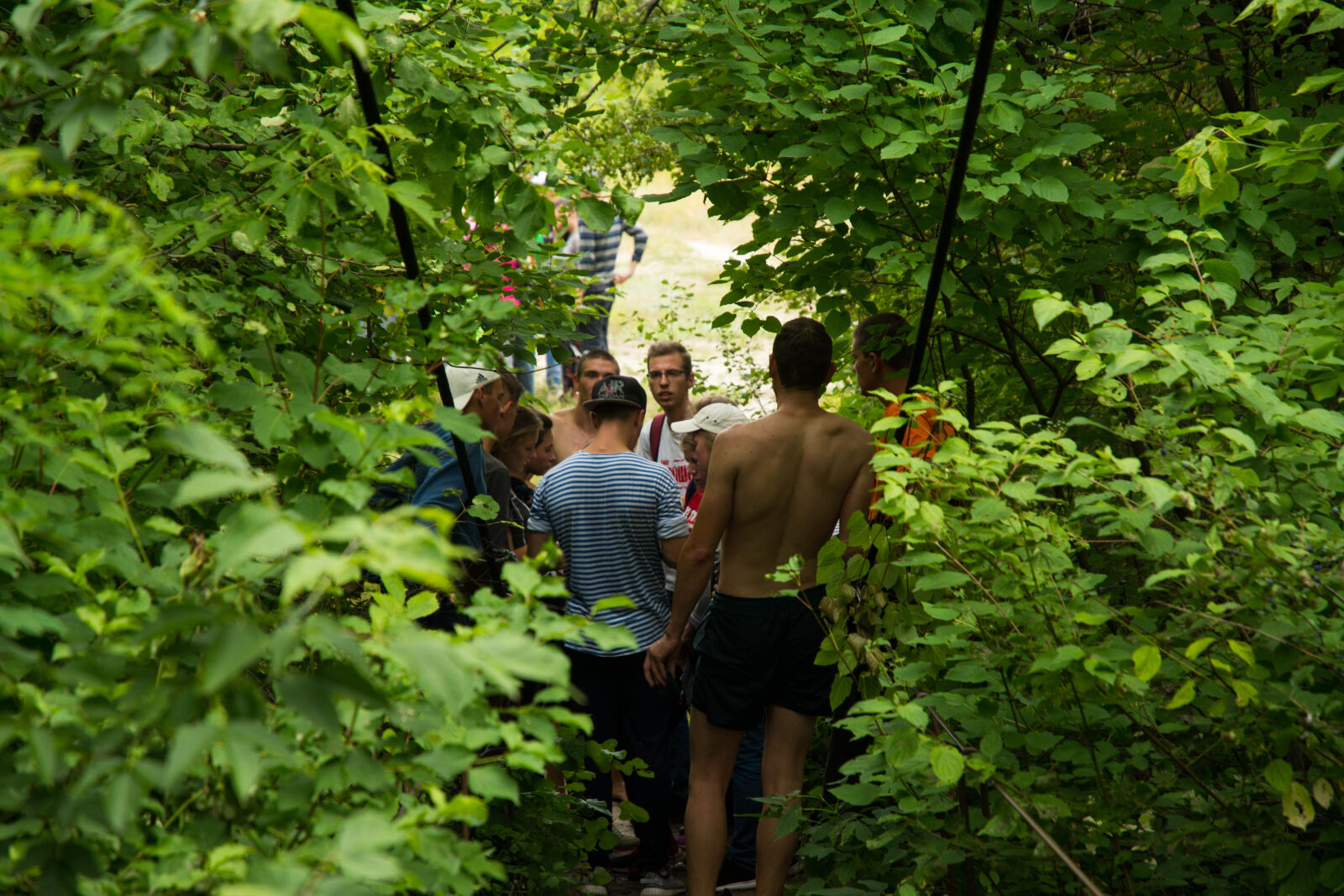 Nikon D7100 sample photo. Camp, dip, forest, pine photography
