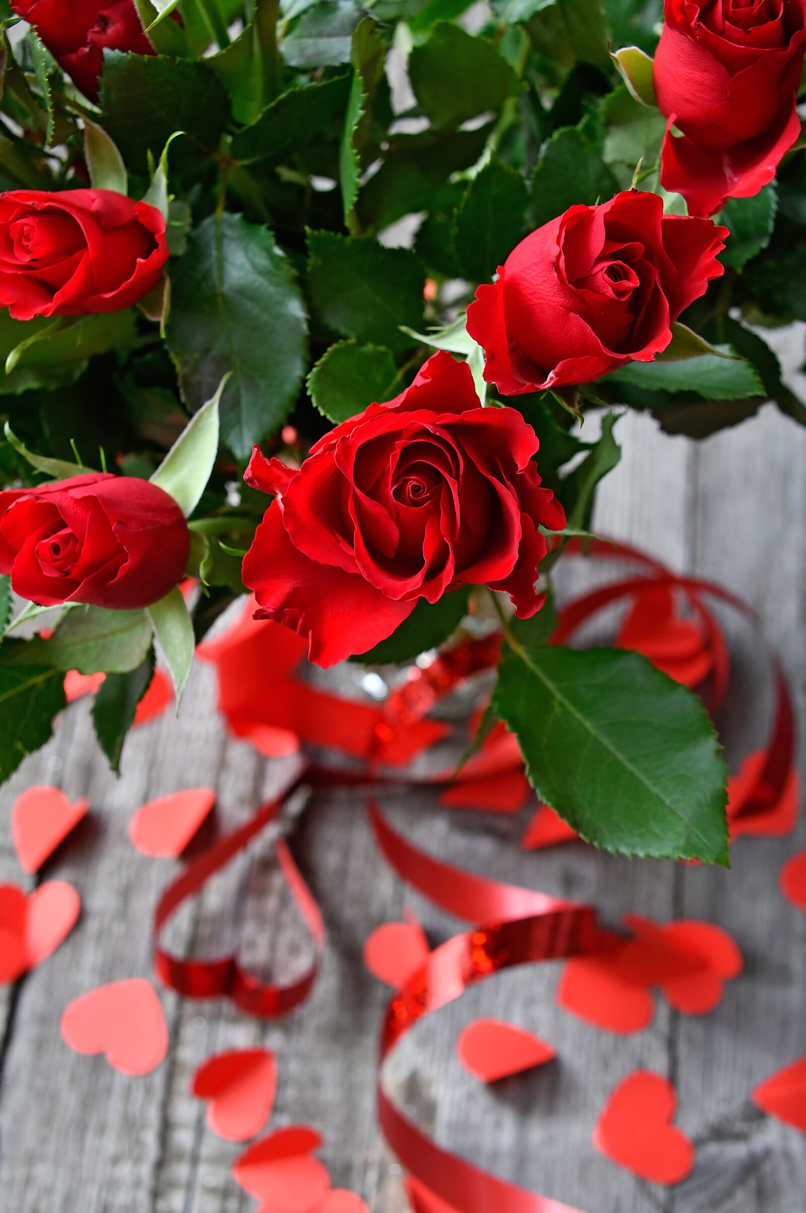 Nikon D3200 sample photo. Rose, valentine's, valentine's day photography