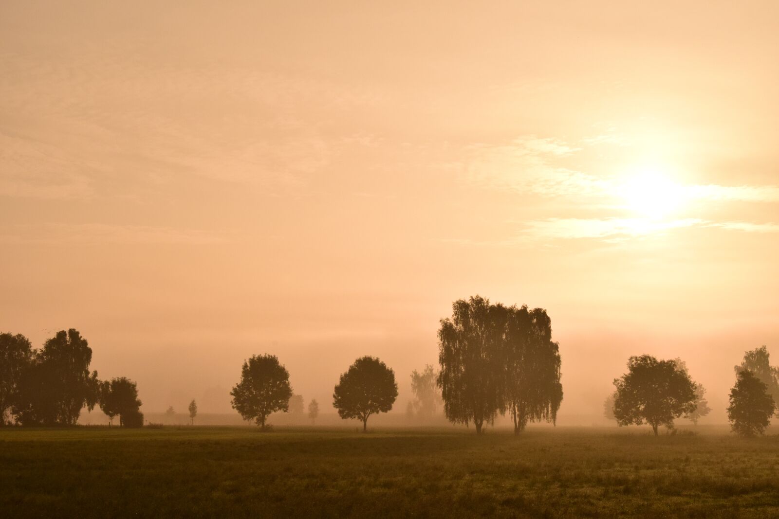 Nikon D3300 sample photo. Morning mist, fog, landscape photography