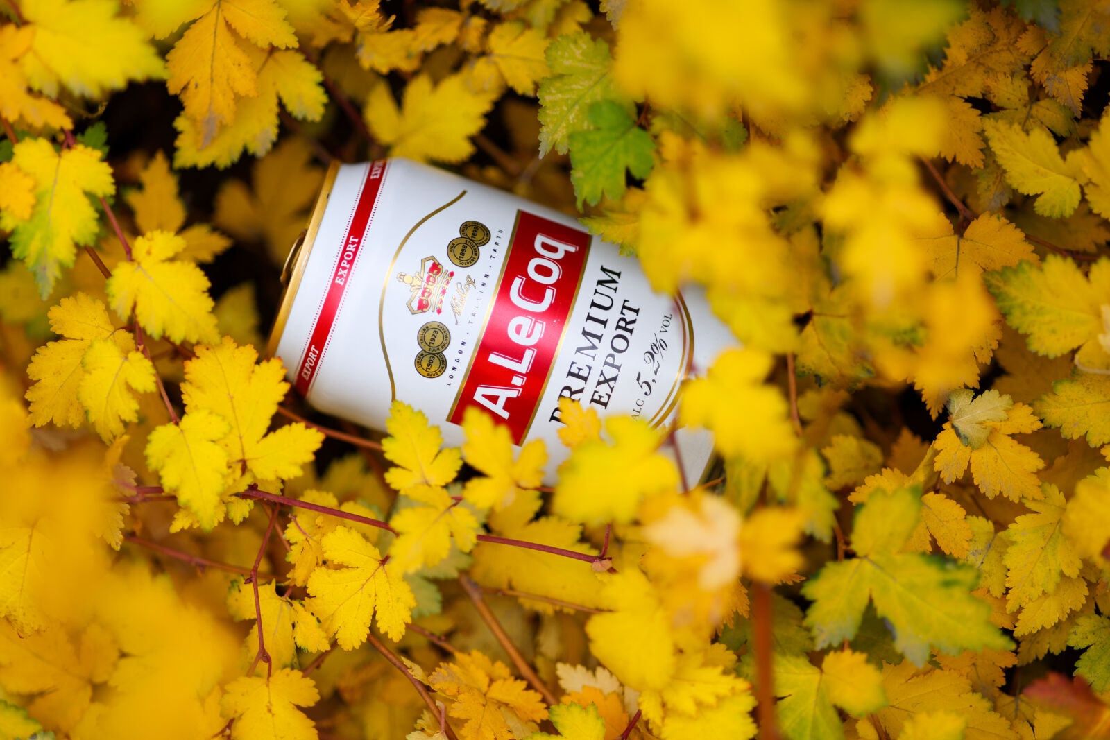 Canon RF 85mm F2 Macro IS STM sample photo. Autumn drink photography