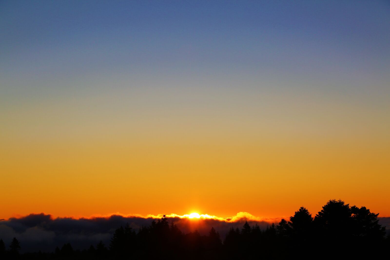 Canon EOS 5D Mark III sample photo. Gundogmus, morning, nature photography