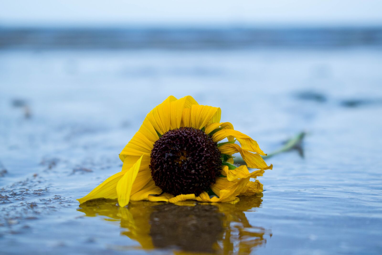 Nikon D3300 sample photo. Nature, body of water photography