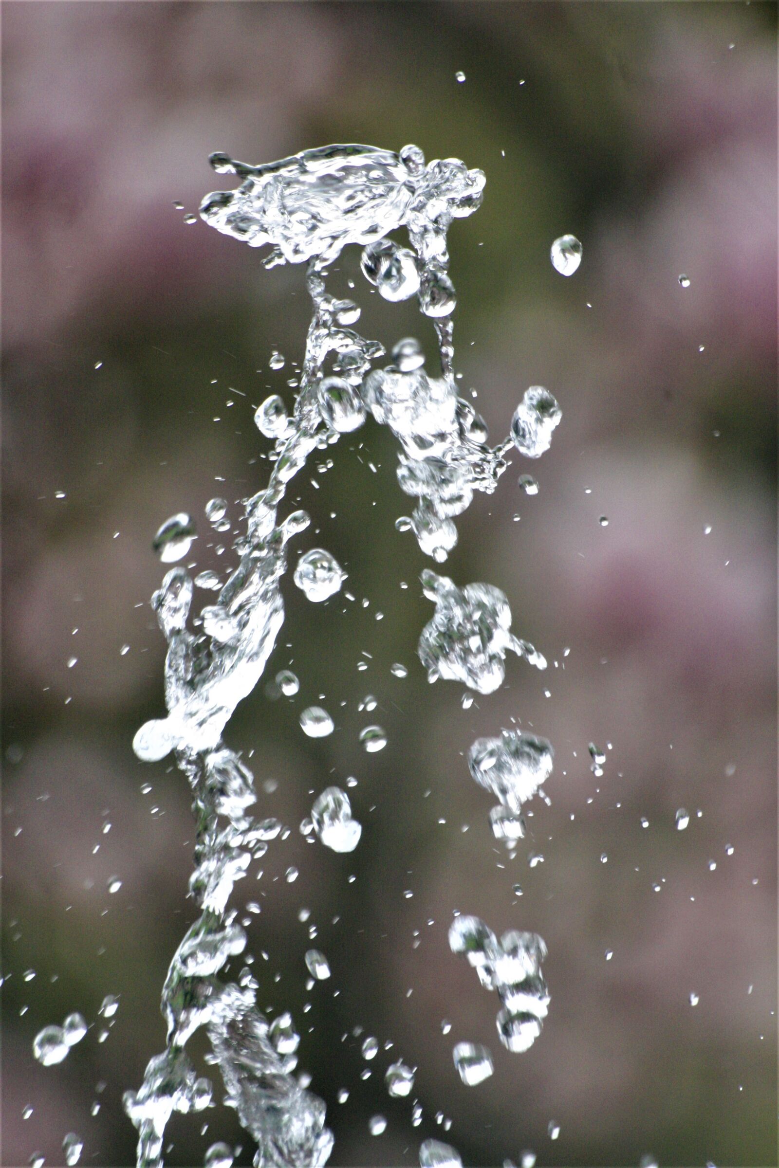 Canon EOS 1000D (EOS Digital Rebel XS / EOS Kiss F) sample photo. Fountain, gargoyle, water feature photography