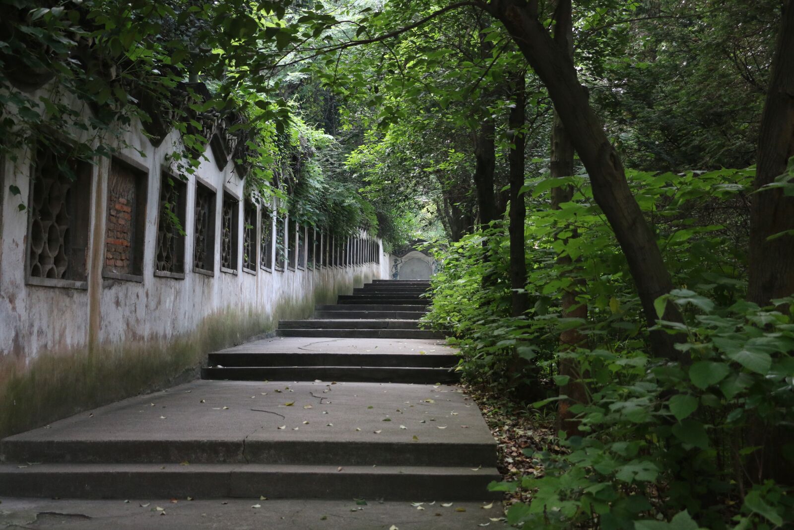 Canon EOS 70D sample photo. Old area, stairs, greenway photography