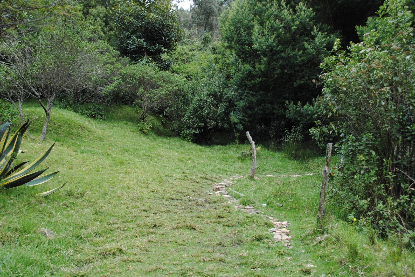 Nikon D3000 sample photo. Landscape, natural, monserrate photography