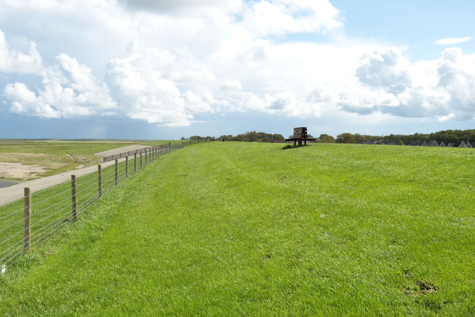 Panasonic Lumix DMC-FZ150 sample photo. Summer, dike, pasture photography