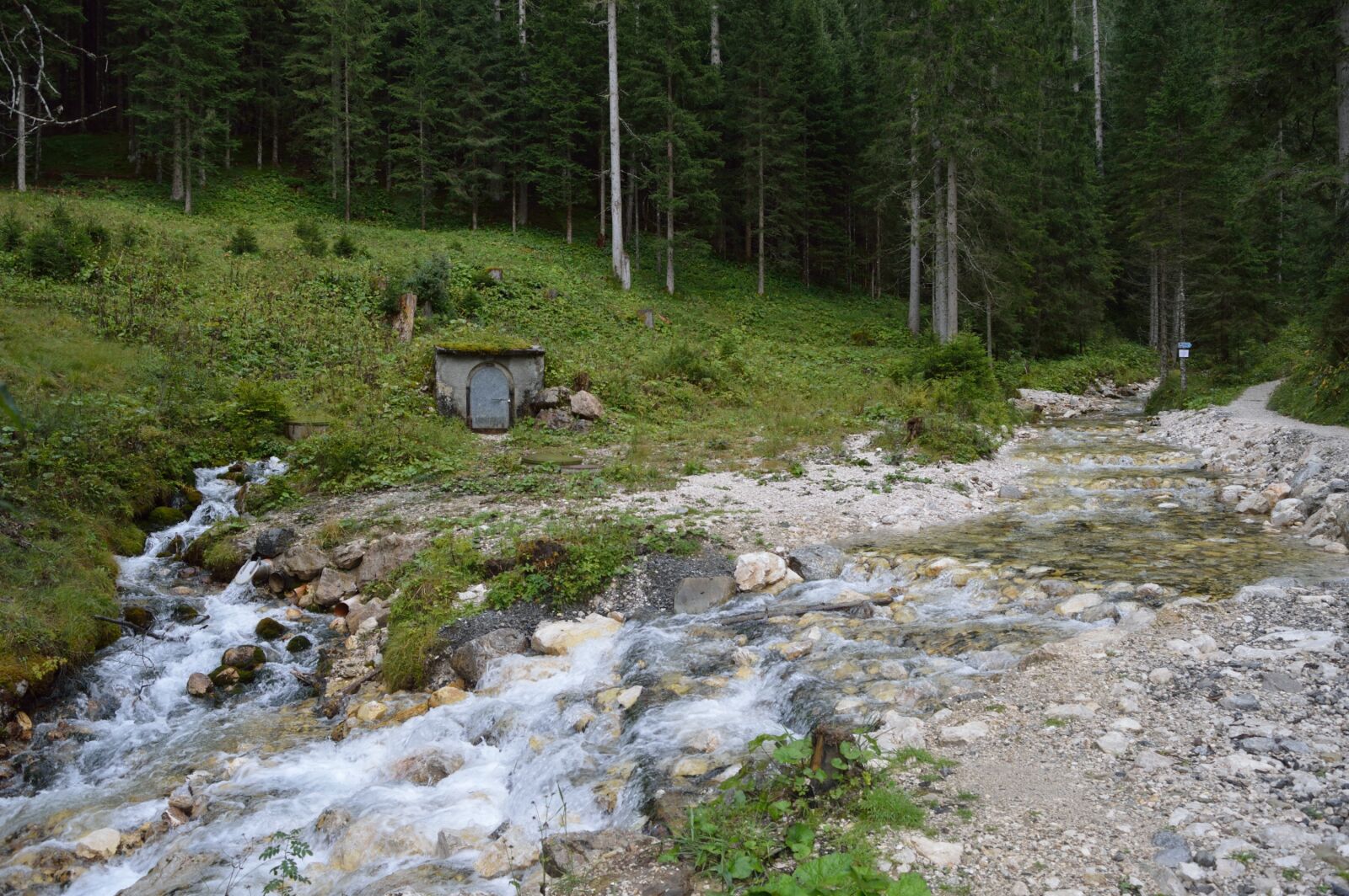 Nikon D3200 sample photo. Water, forest, stream photography
