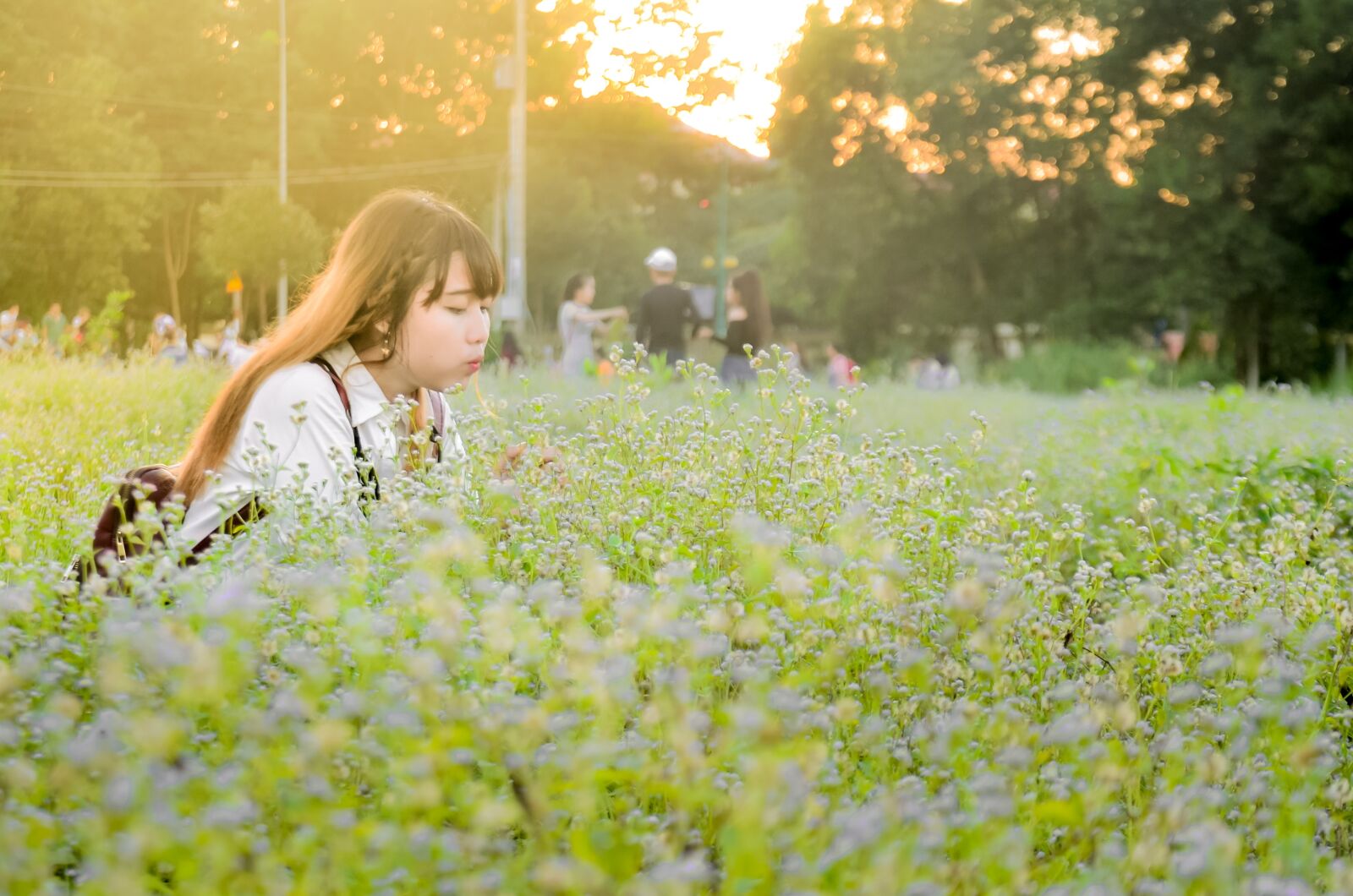 Nikon D5100 sample photo. Field, girl, flower photography