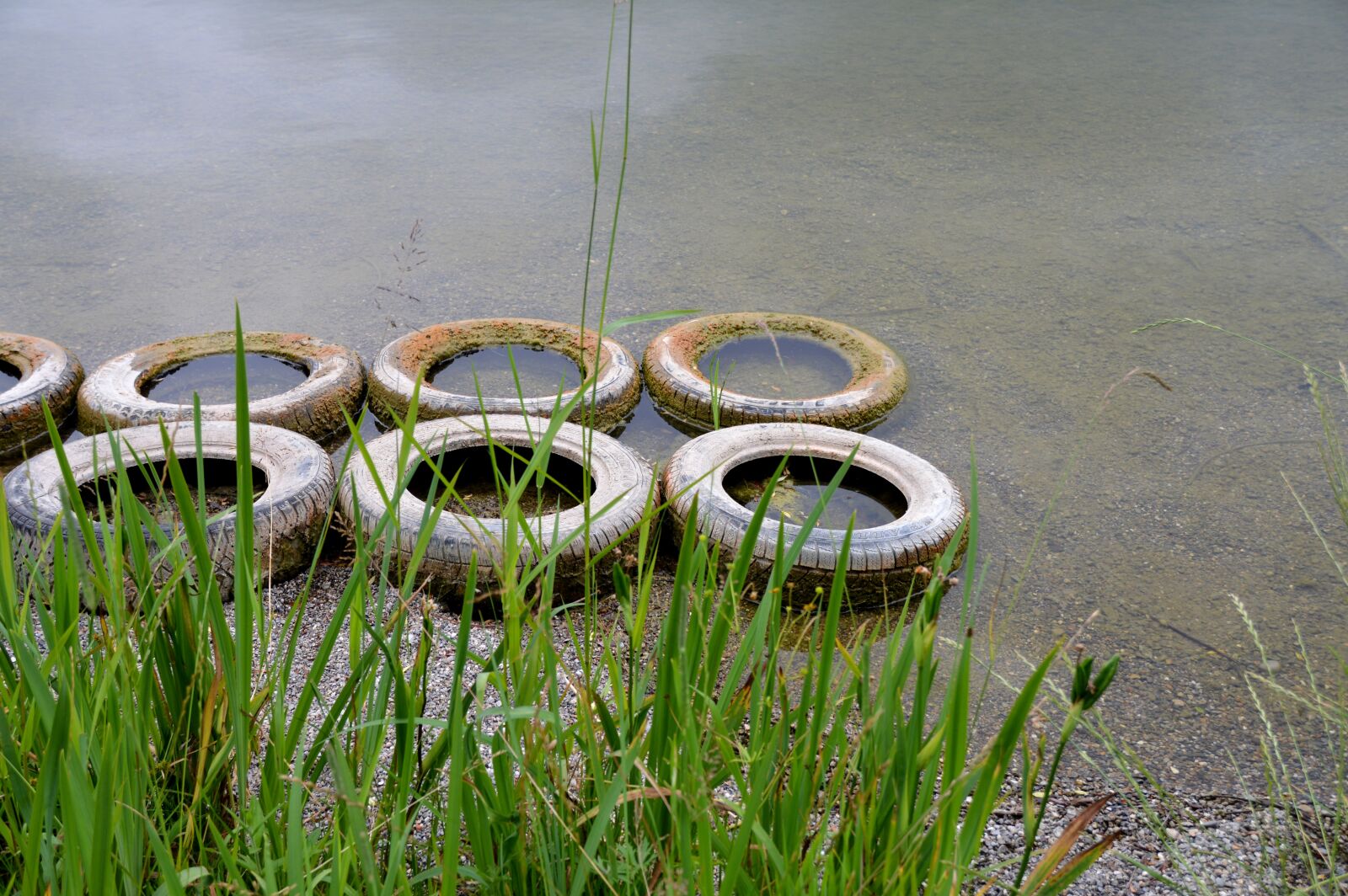 Nikon D3200 sample photo. Mature, environment, protection photography