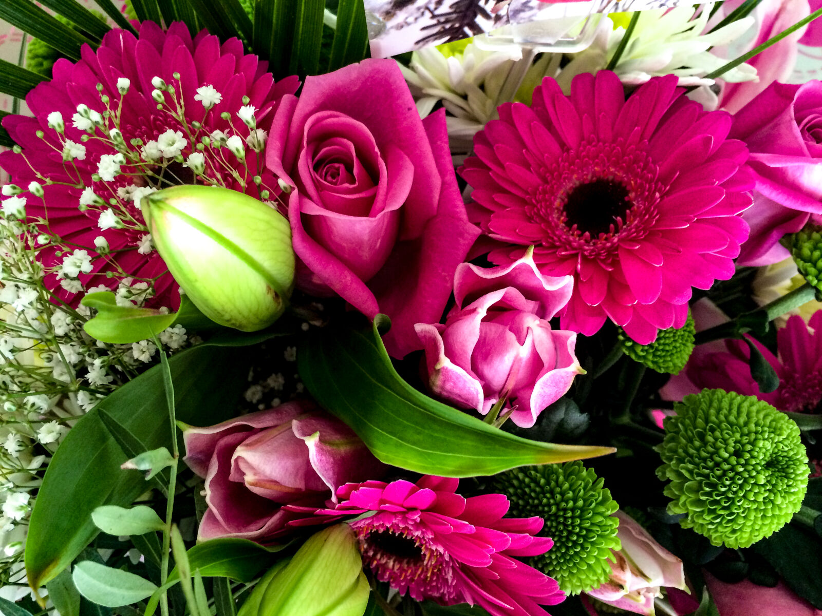 iPhone 5s back camera 4.15mm f/2.2 sample photo. Bouquet, flowers, gerbera, roses photography