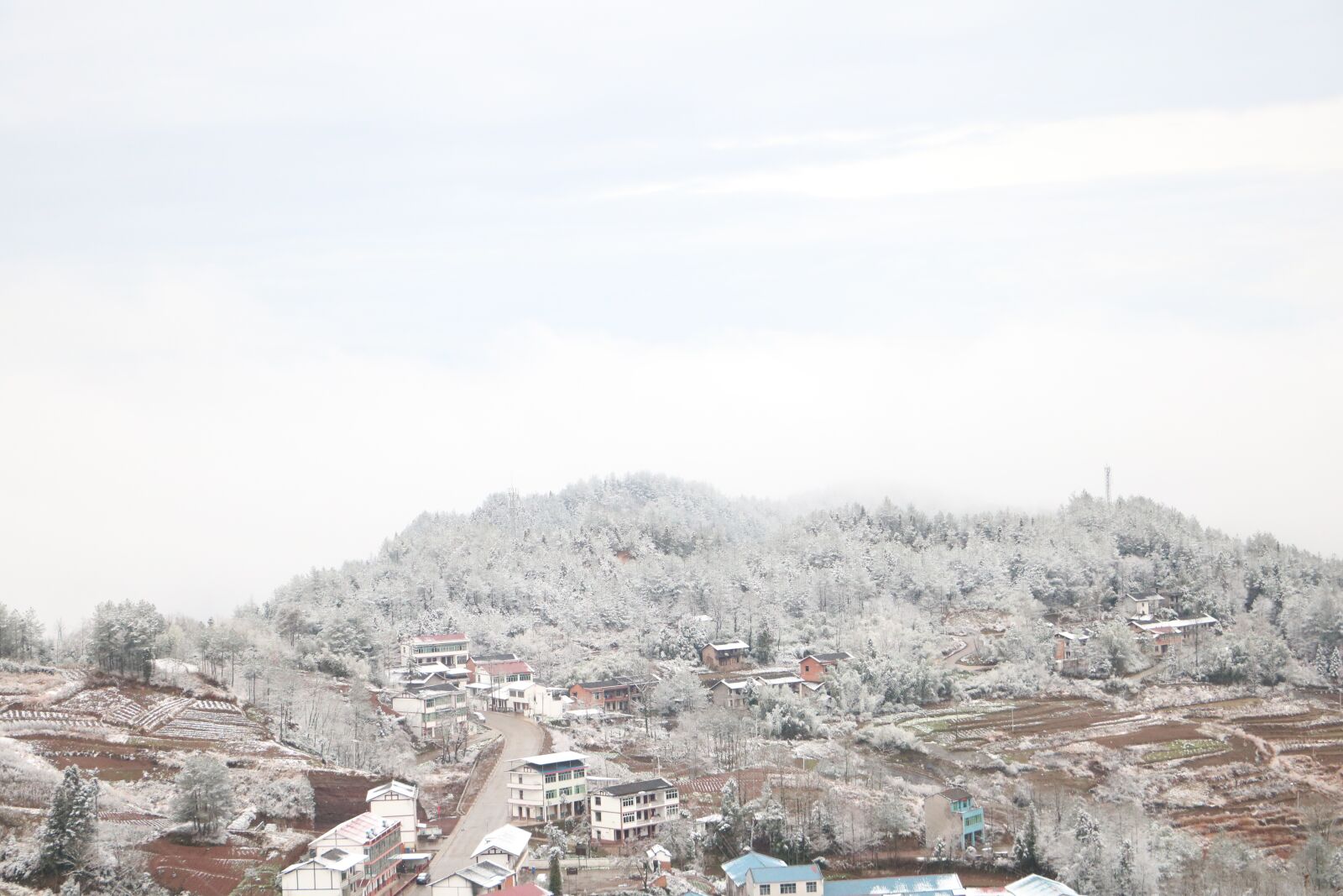 Canon EOS 760D (EOS Rebel T6s / EOS 8000D) + Canon EF-S 18-135mm F3.5-5.6 IS STM sample photo. Snow, winter, white photography