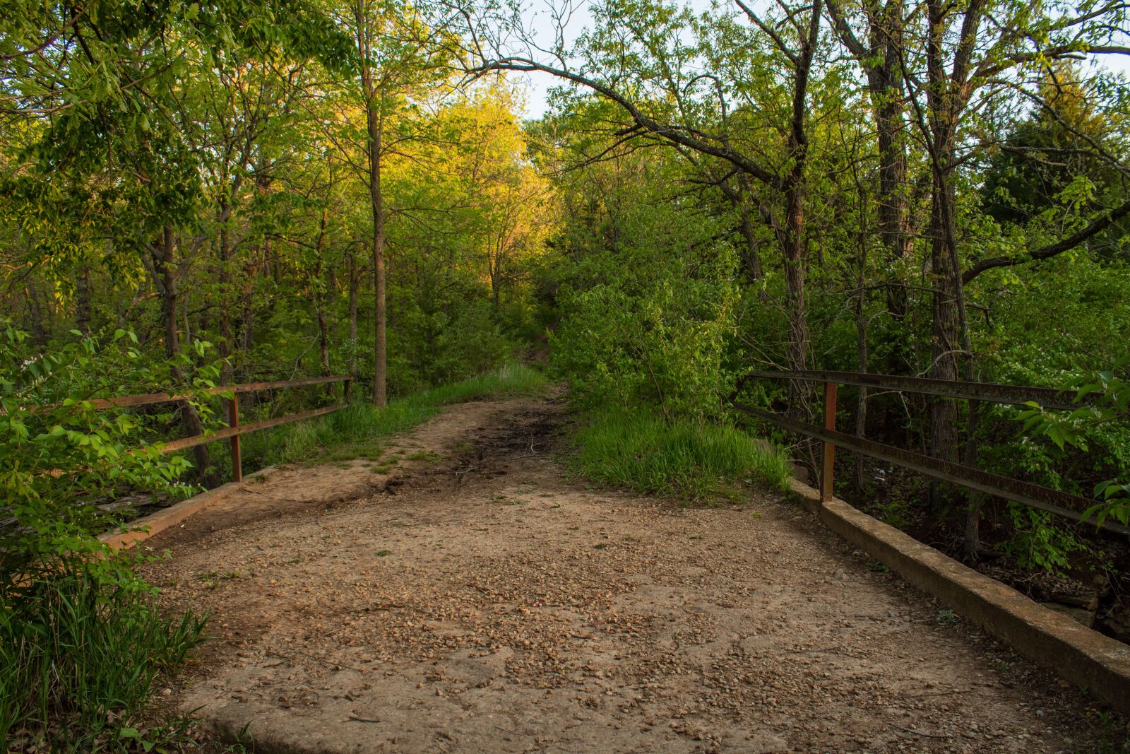 Canon EOS 1300D (EOS Rebel T6 / EOS Kiss X80) sample photo. Trail, path, bridge photography