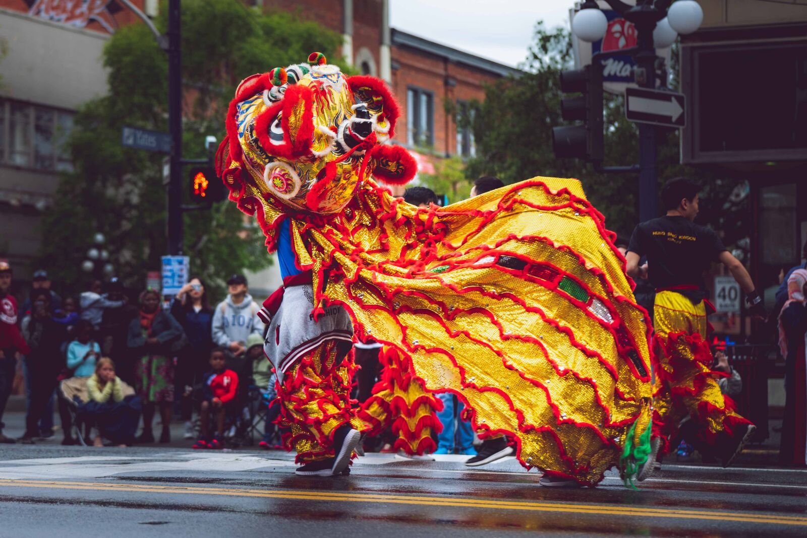Nikon D750 sample photo. Carnival, celebration, ceremony photography