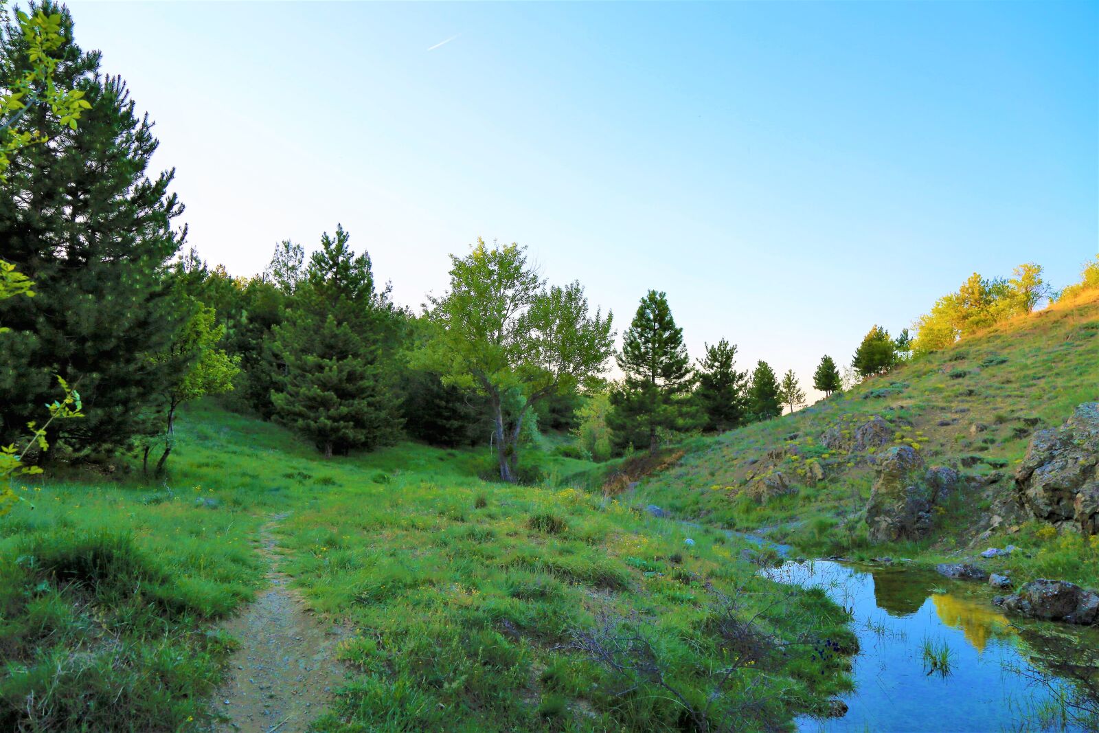 Canon EF 24-105mm F4L IS USM sample photo. Rural, forest, nature photography