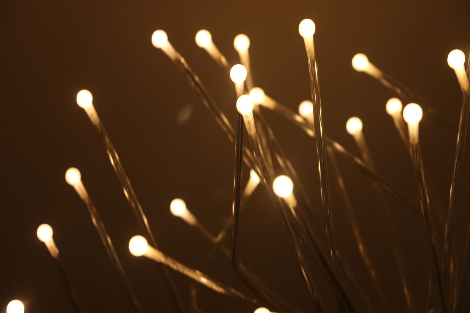 Canon EOS 70D sample photo. Shine, dark, light photography