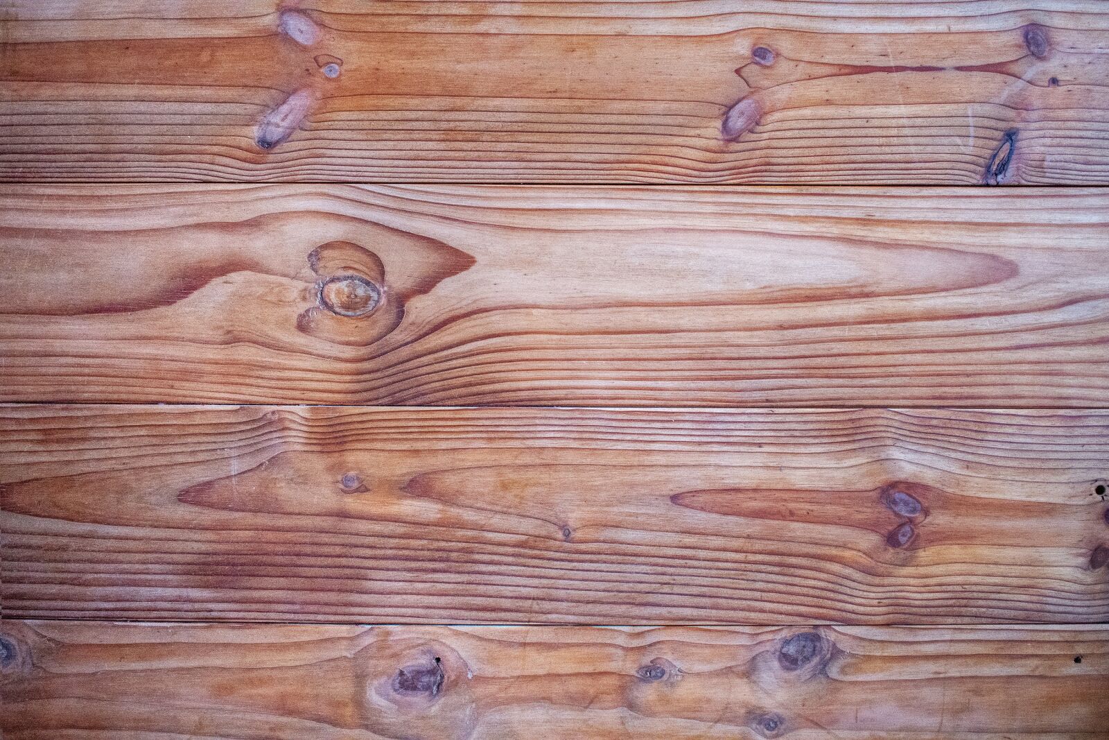 Nikon D7200 sample photo. Tree, slice of wood photography