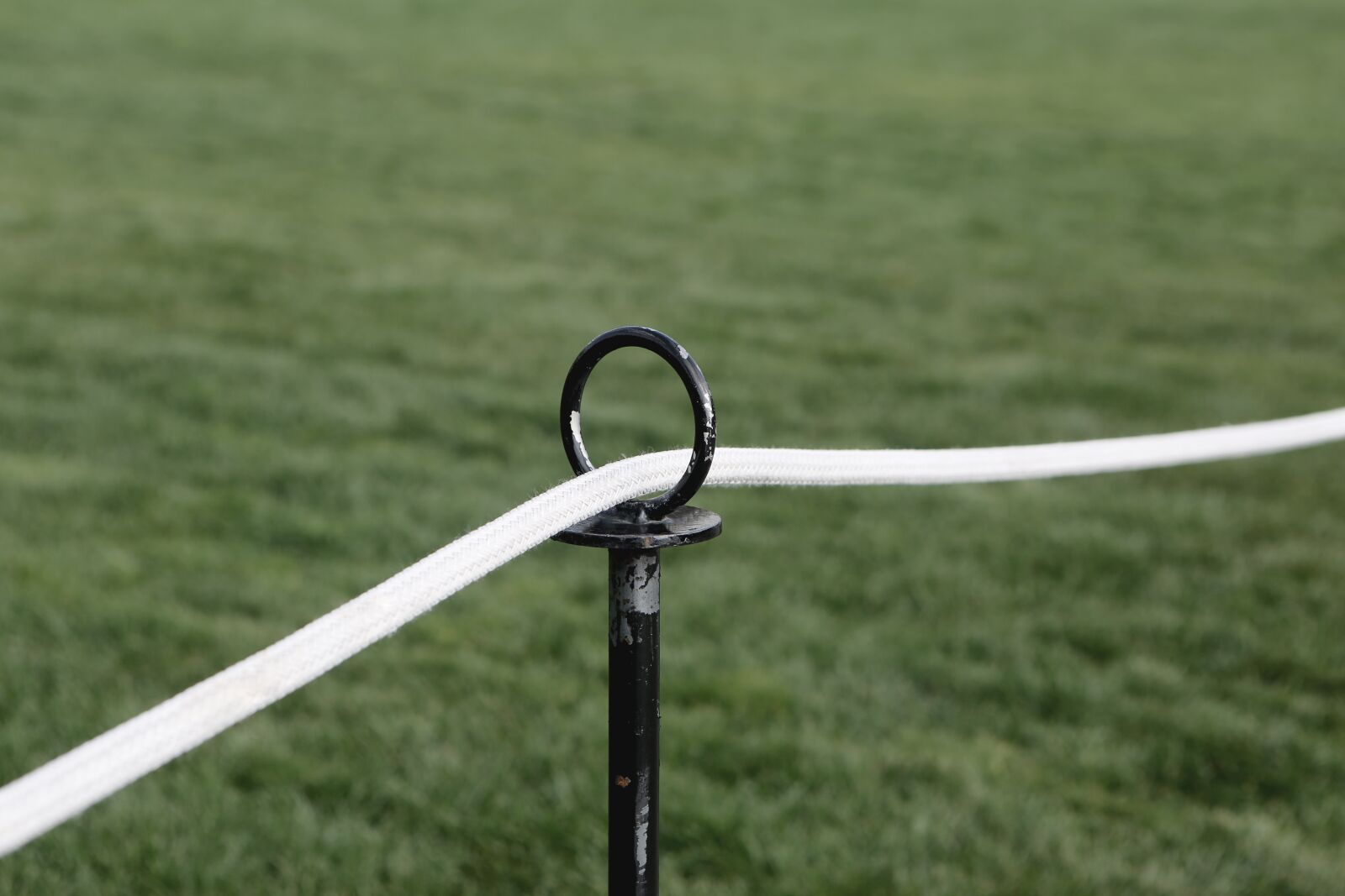 Canon EF 24-70mm F2.8L USM sample photo. Rope, grass, yard photography