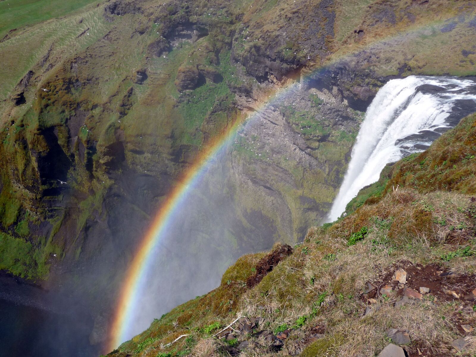 Panasonic Lumix DMC-TZ5 sample photo. Iceland, waterfall, rainbow photography