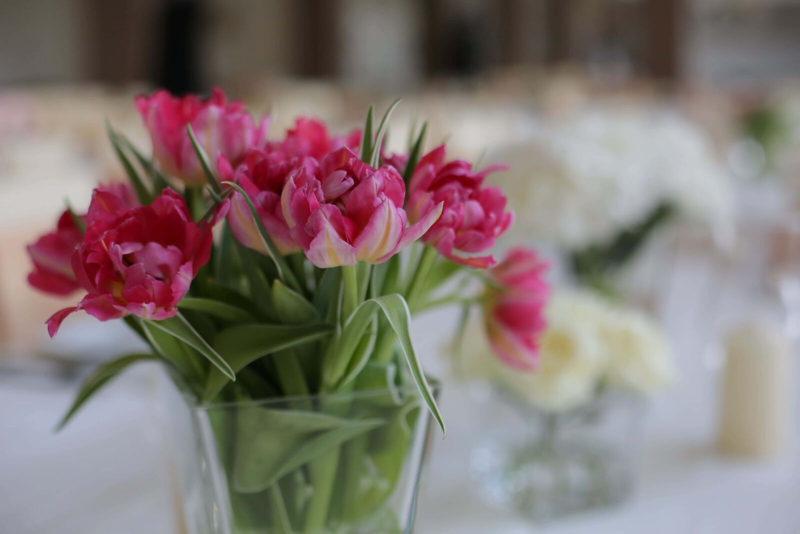 Canon EF 50mm F1.4 USM sample photo. Vase, crystal, tulips, lunchroom photography