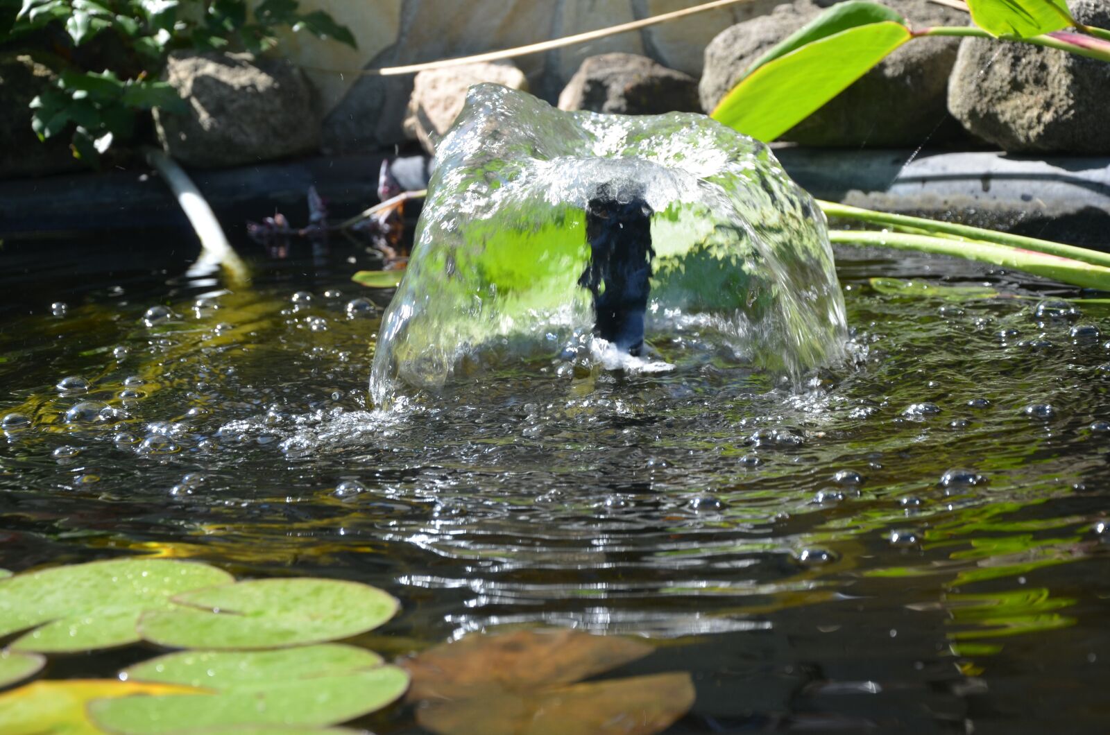 Nikon D5100 sample photo. Water, fountain, pond photography