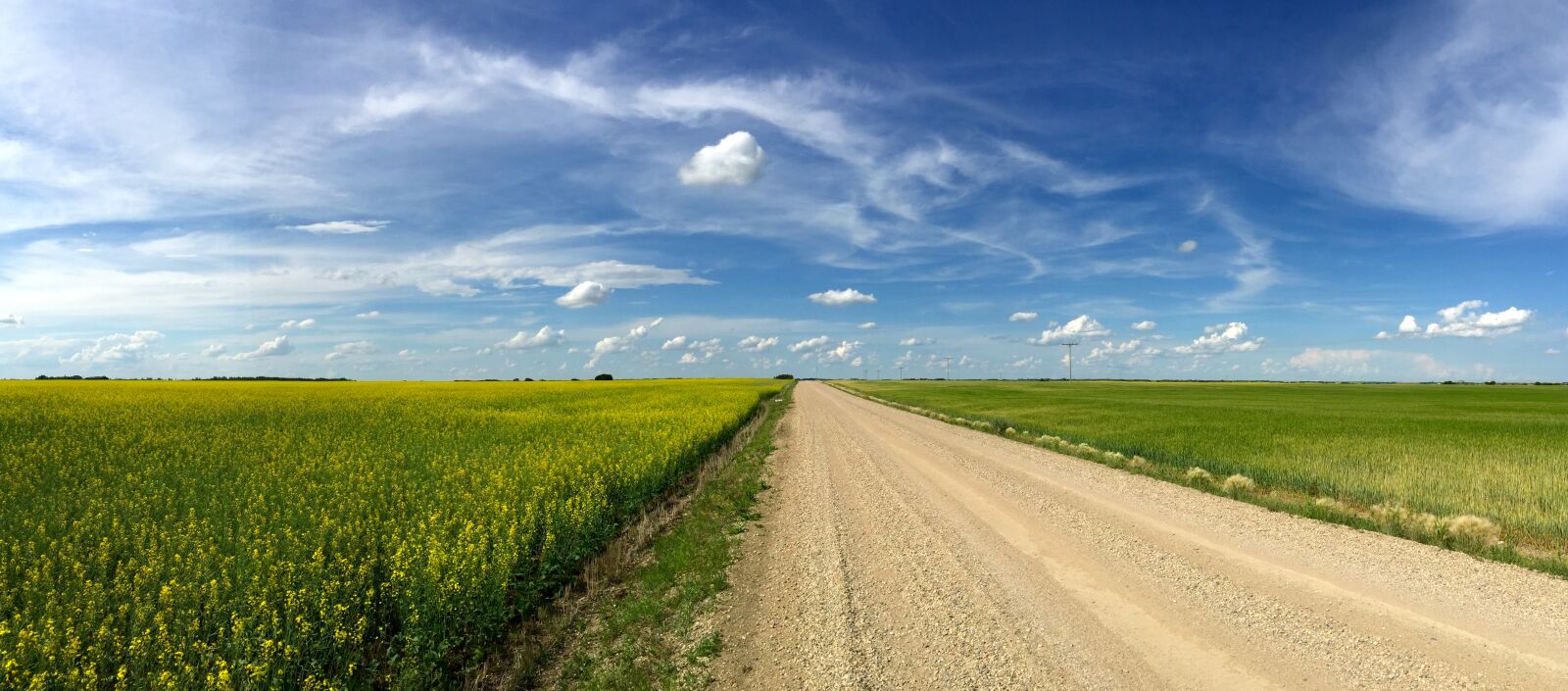 iPhone 6 Plus back camera 4.15mm f/2.2 sample photo. Watrous, saskatchewan, canada photography