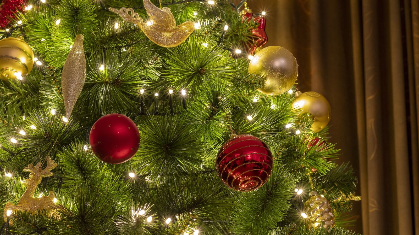 Nikon D500 sample photo. Christmas, christmas tree, decoration photography