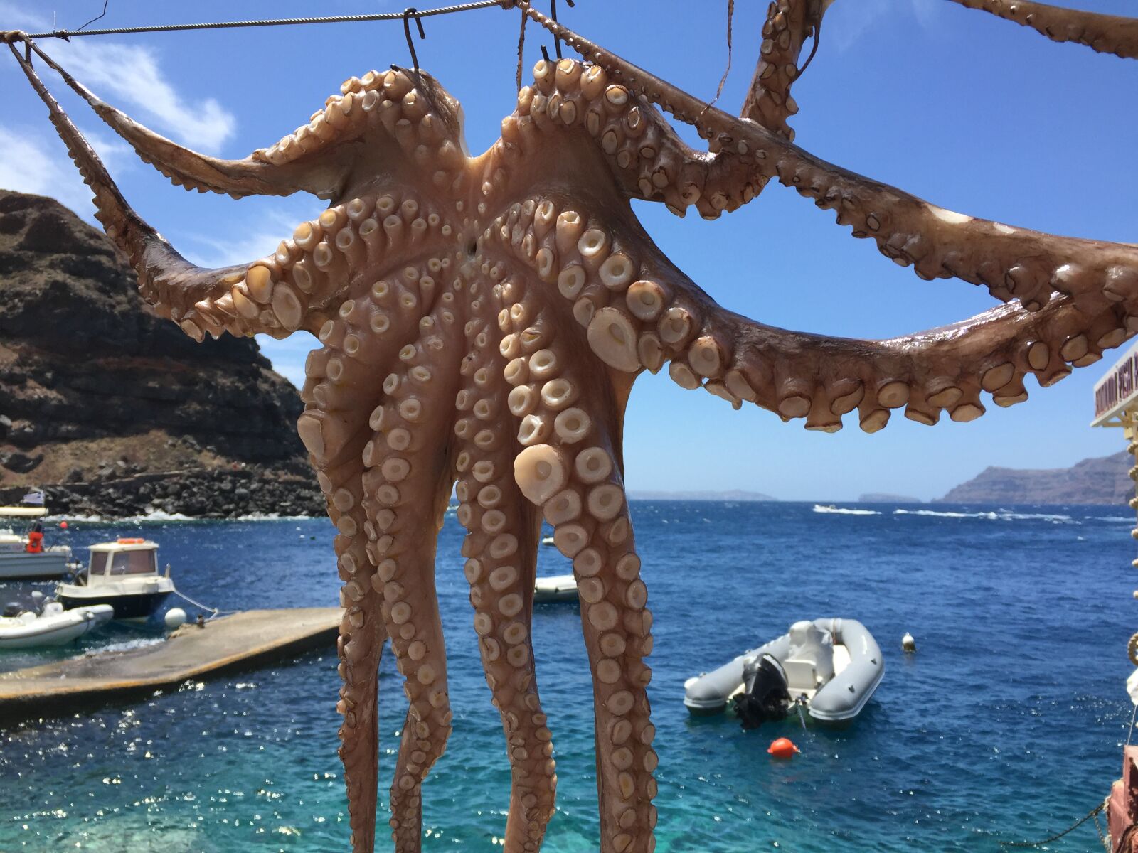Apple iPhone 6 sample photo. Octopus, santorini, greece photography