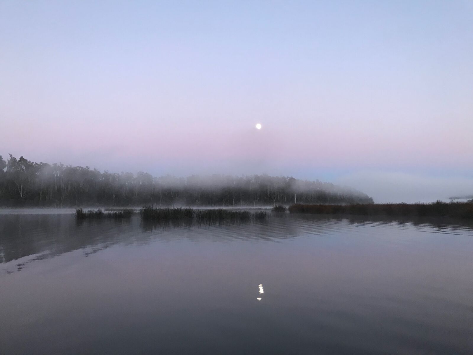 iPhone 7 back camera 3.99mm f/1.8 sample photo. Early, morning, fishing, tasmania photography