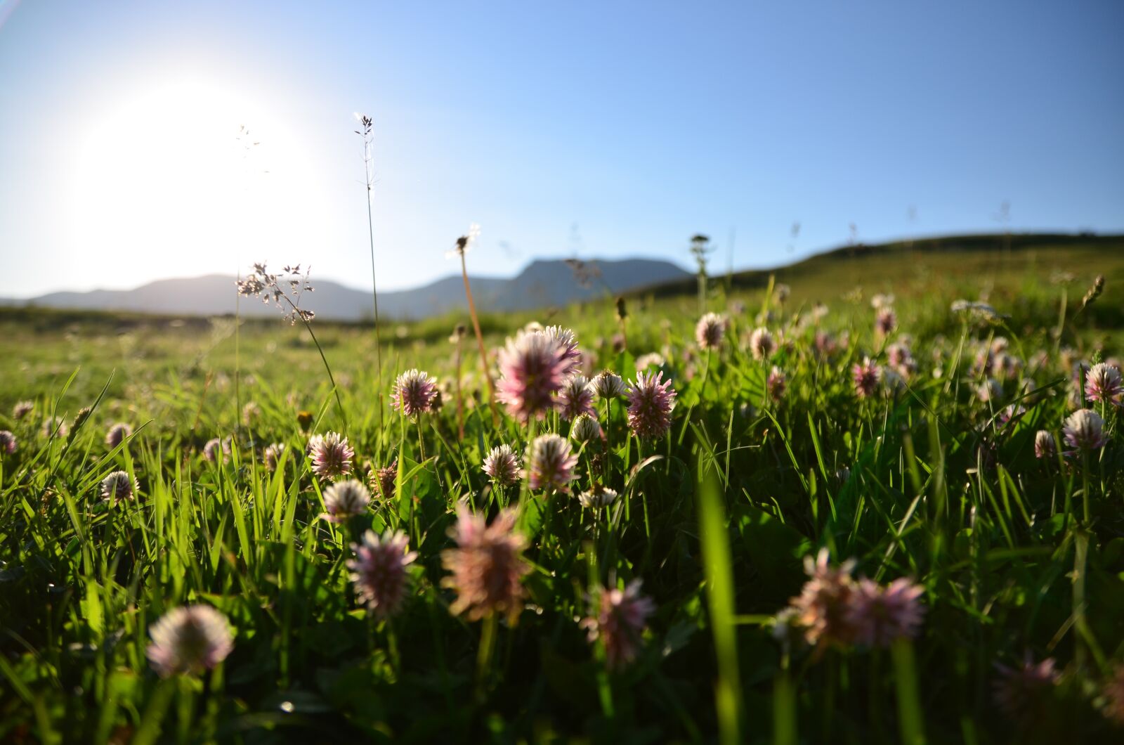 Nikon D5100 sample photo. Nature, landscape, landscapes nature photography