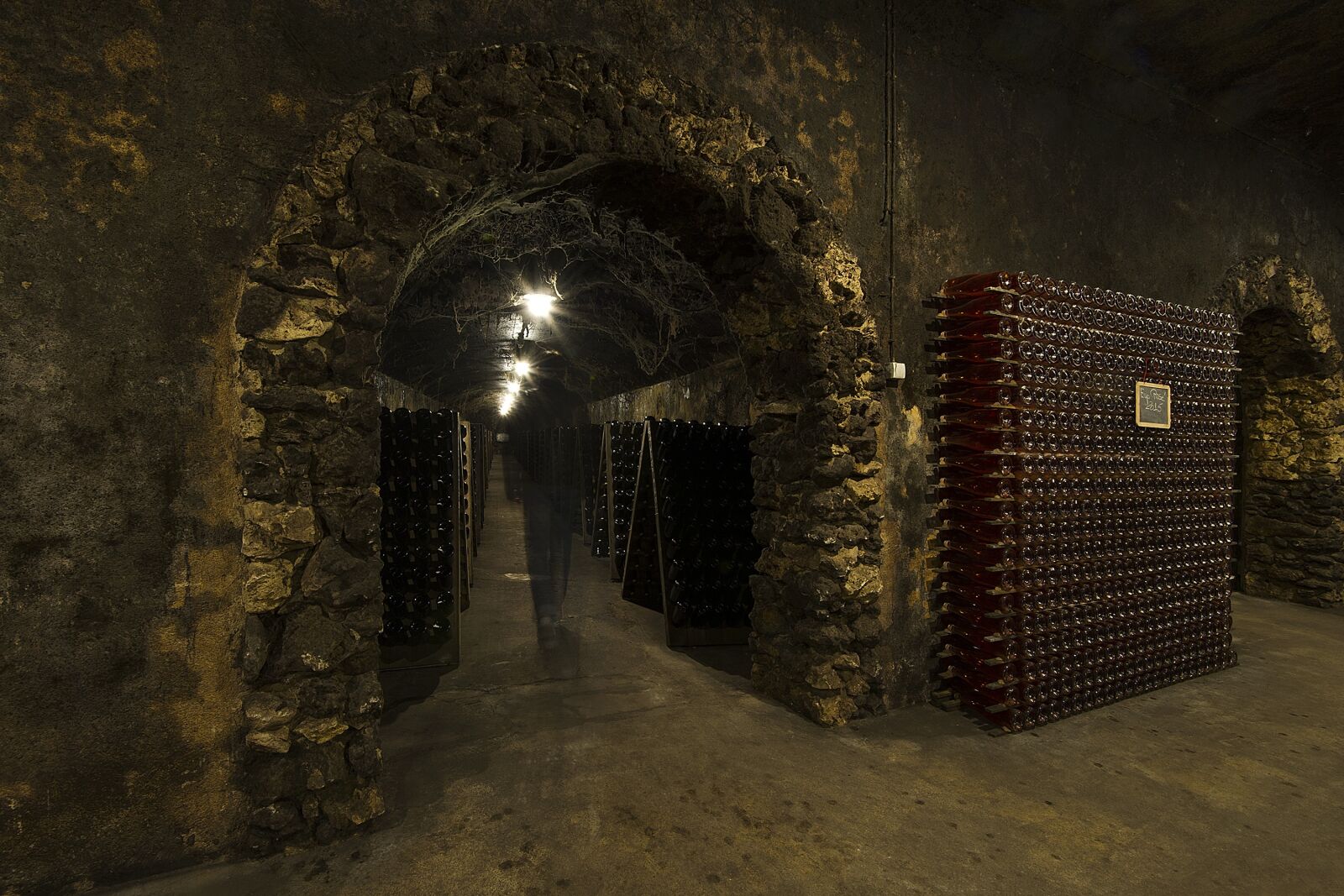 Nikon D3S sample photo. Caves, anadia, bairrada photography